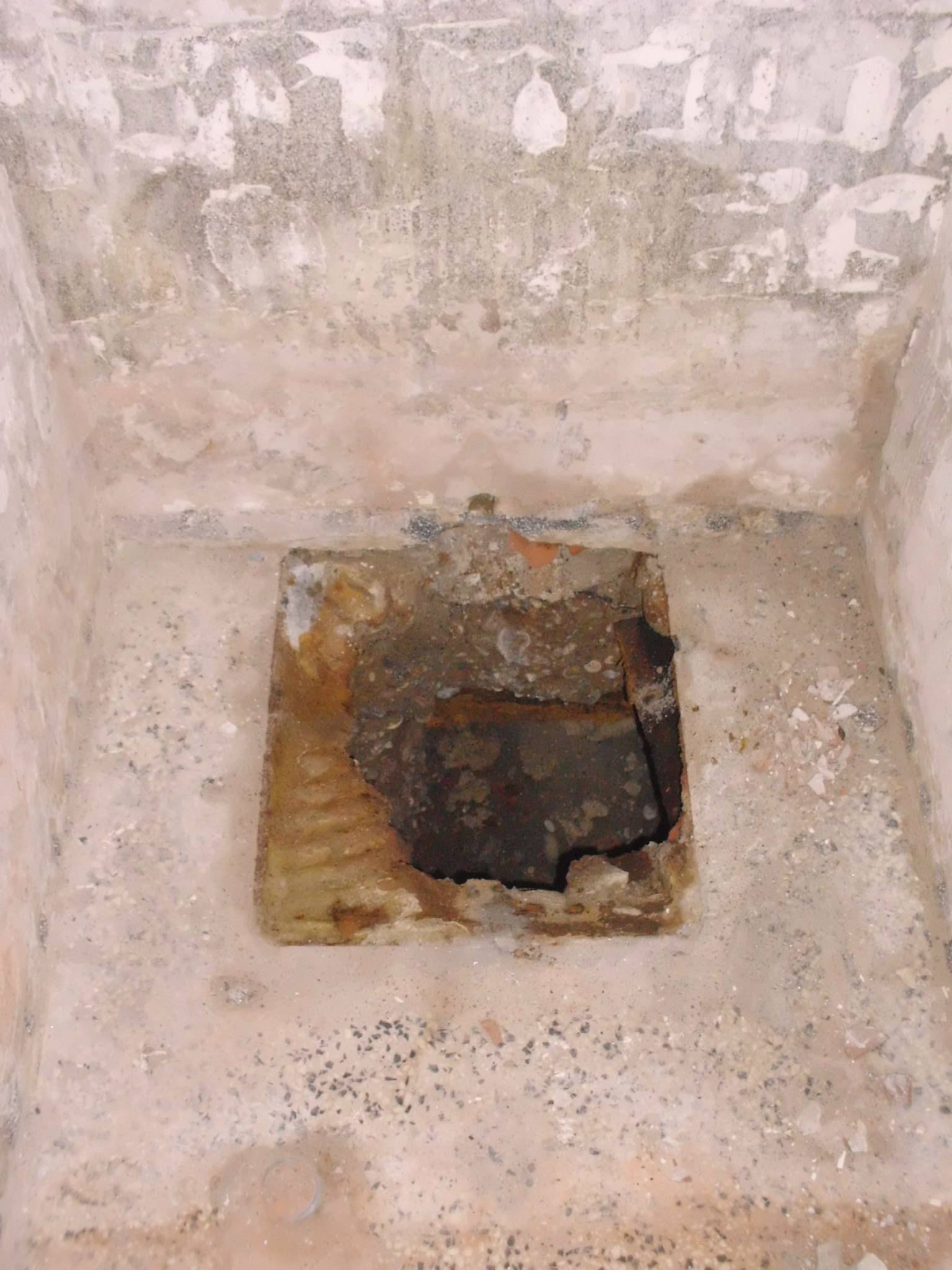 463785415_8808583055829979_8955761984196879354_n