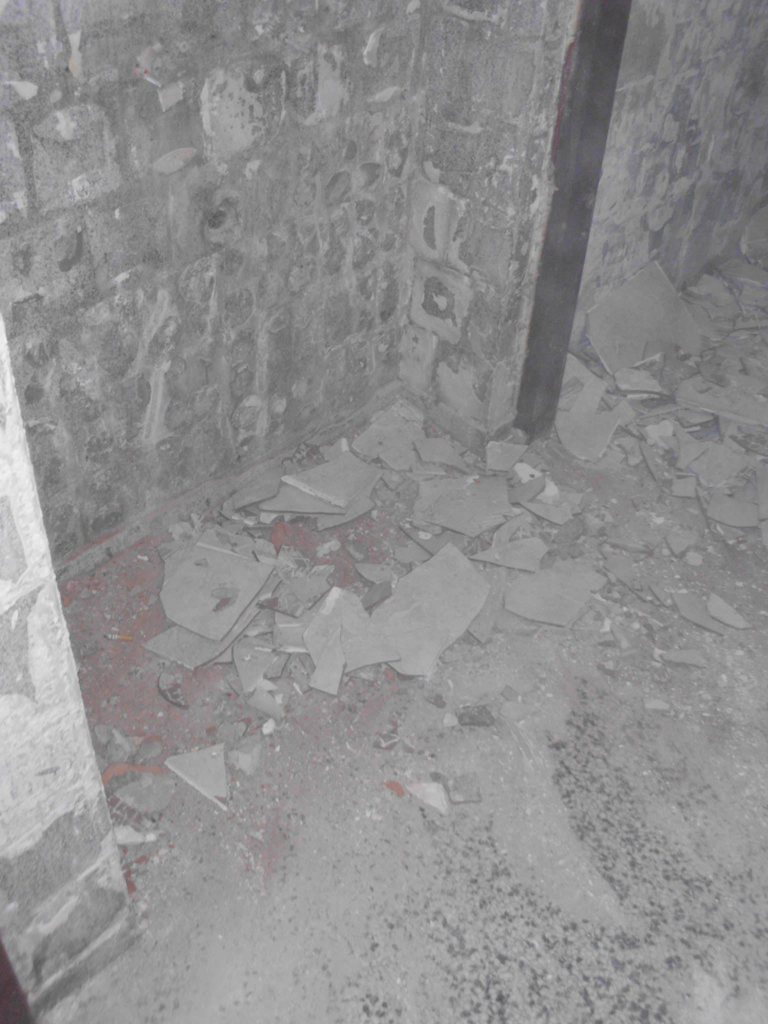 463899228_8808583059163312_3159129800436027632_n