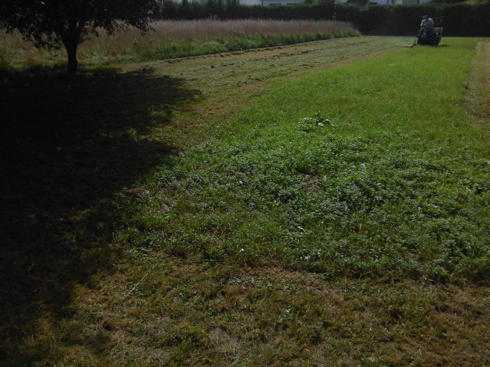 464862841_8864395566915394_8781963275336524999_n