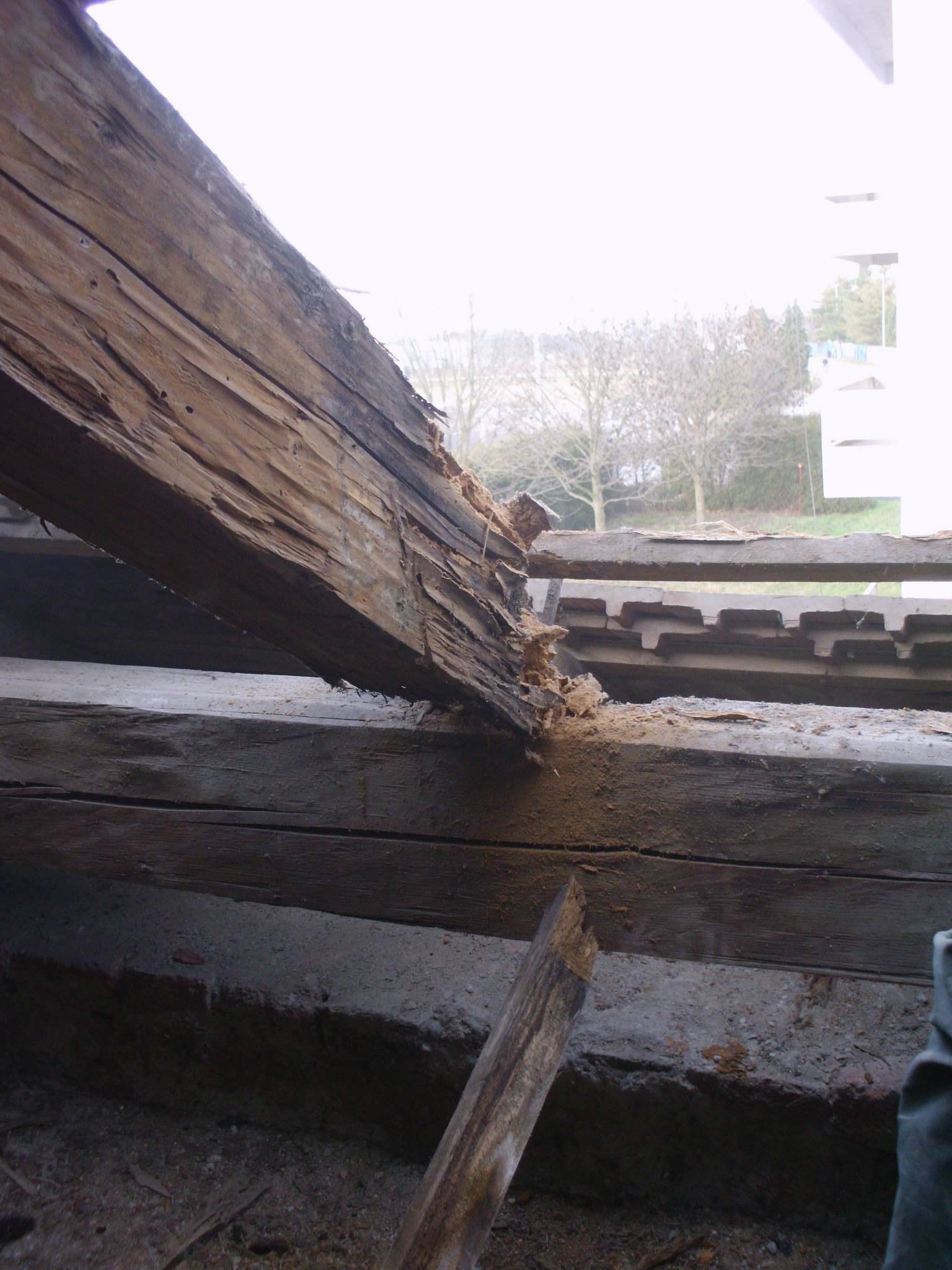 463607727_8807942905893994_1360020680132640416_n