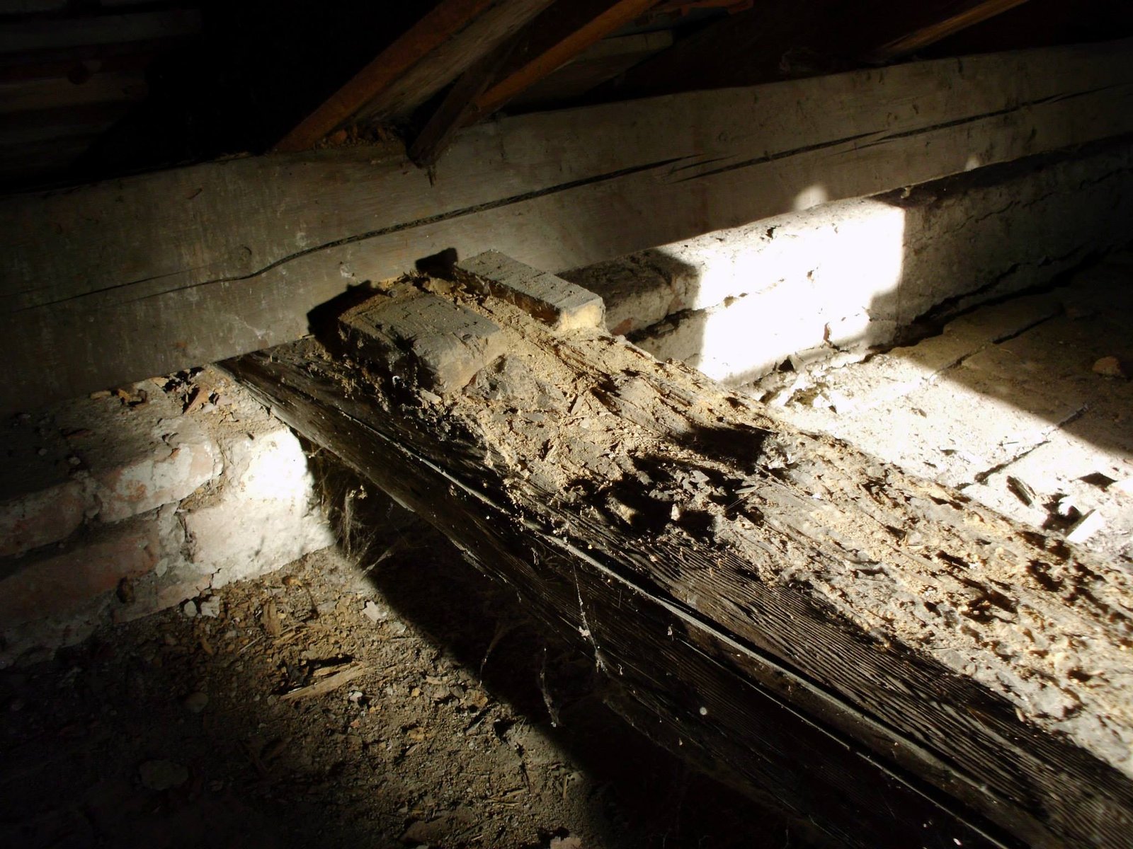 463672831_8807941835894101_777834411789451910_n