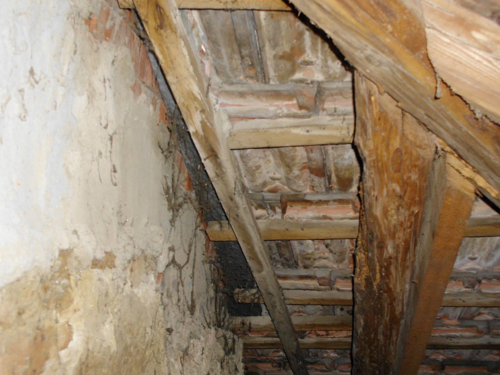 463681125_8807942189227399_8768340405047261161_n