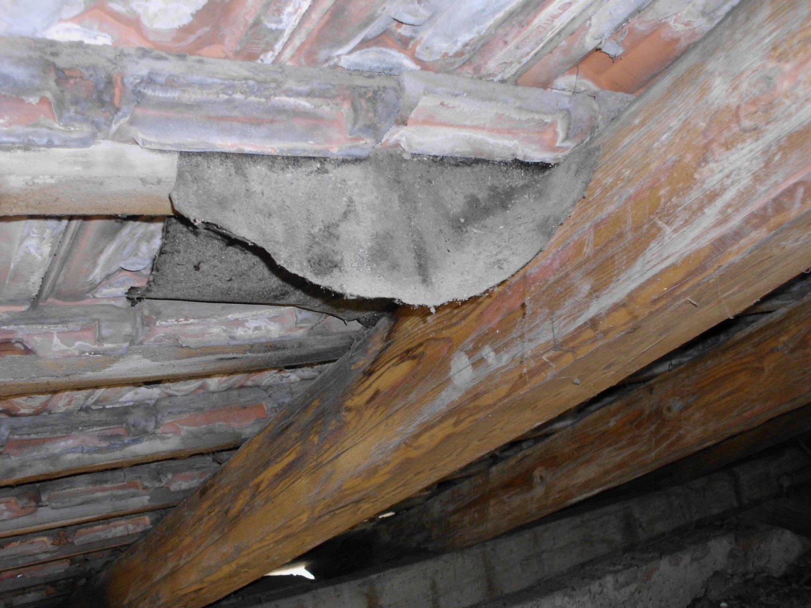 463751652_8807941839227434_912598076301006651_n