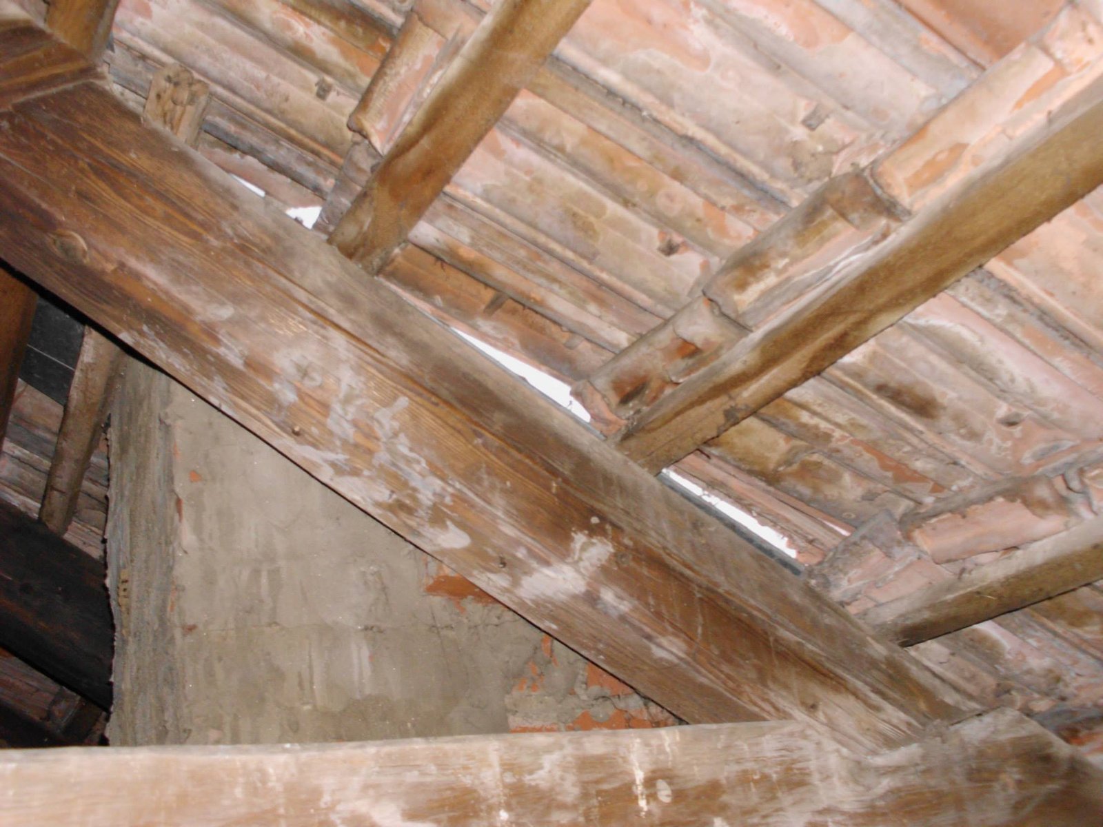 463784514_8807942169227401_9025537368126030617_n