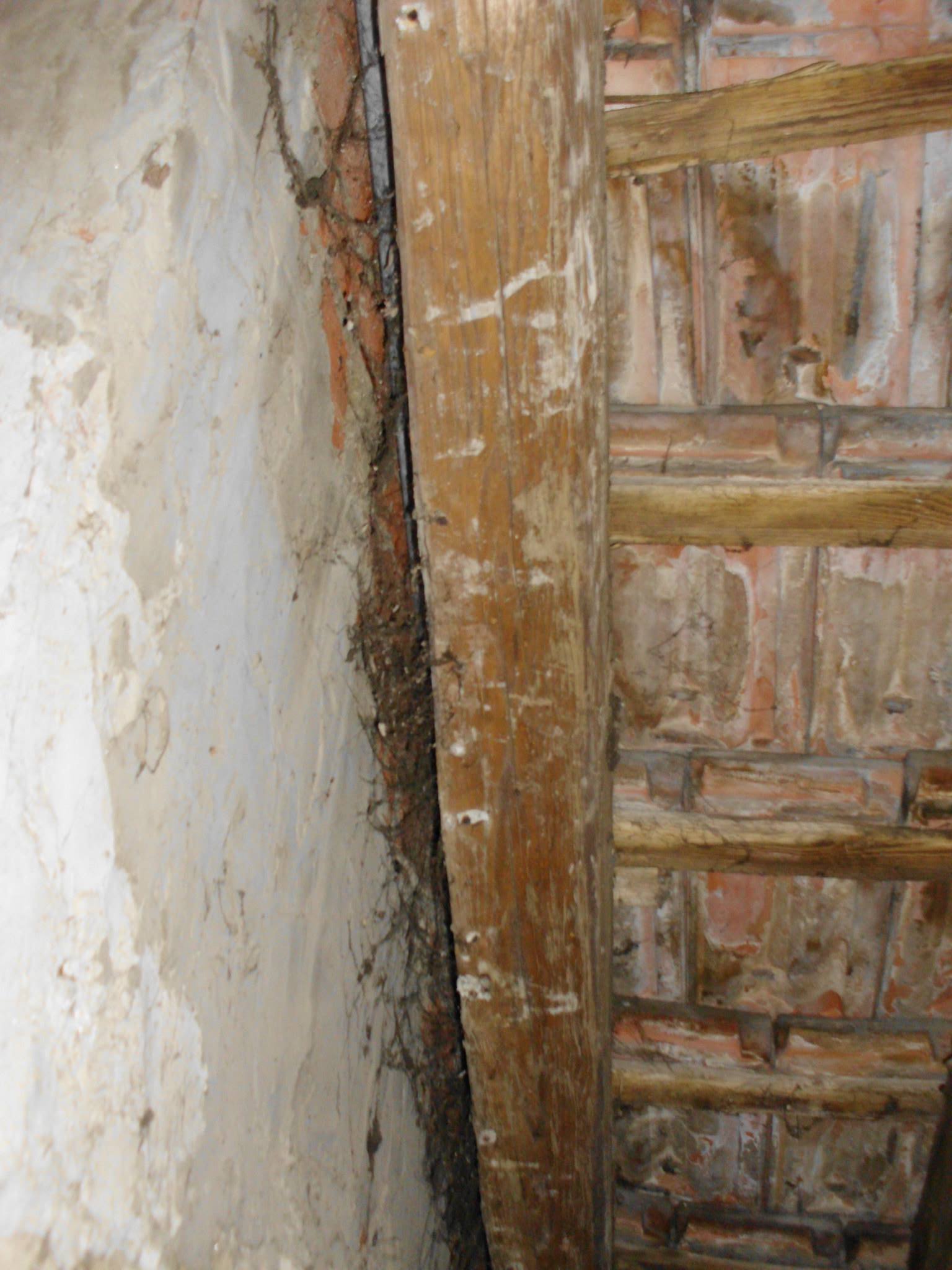 463785337_8807942889227329_8800060687304514590_n