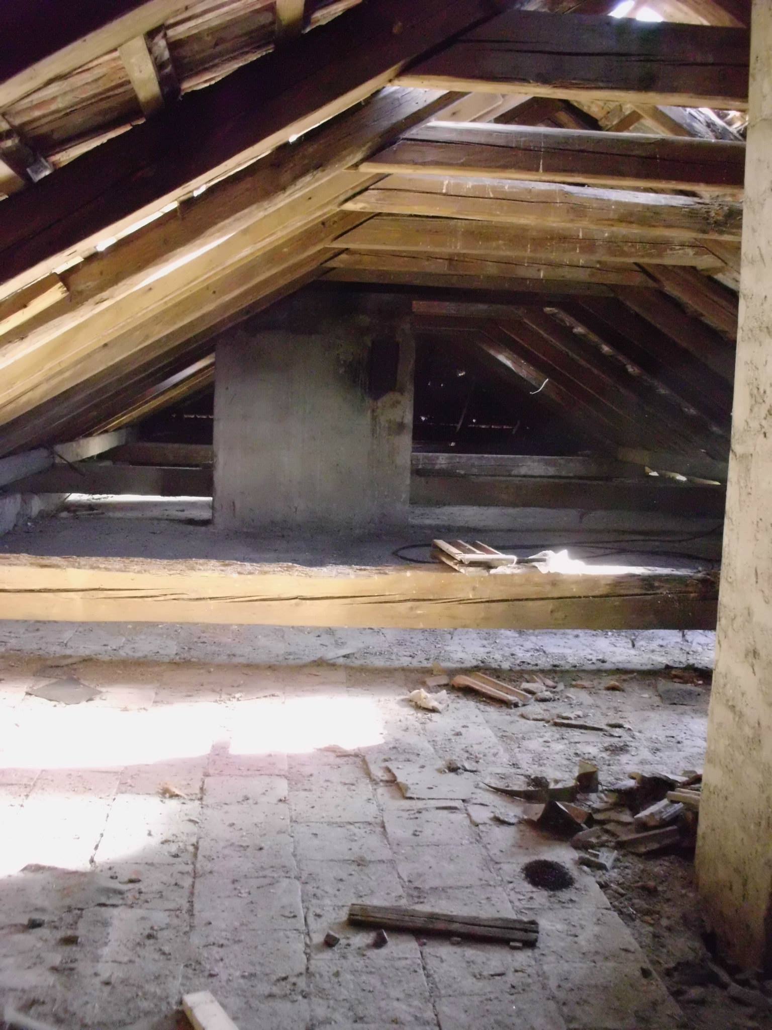 463785793_8807941499227468_468997560369619379_n