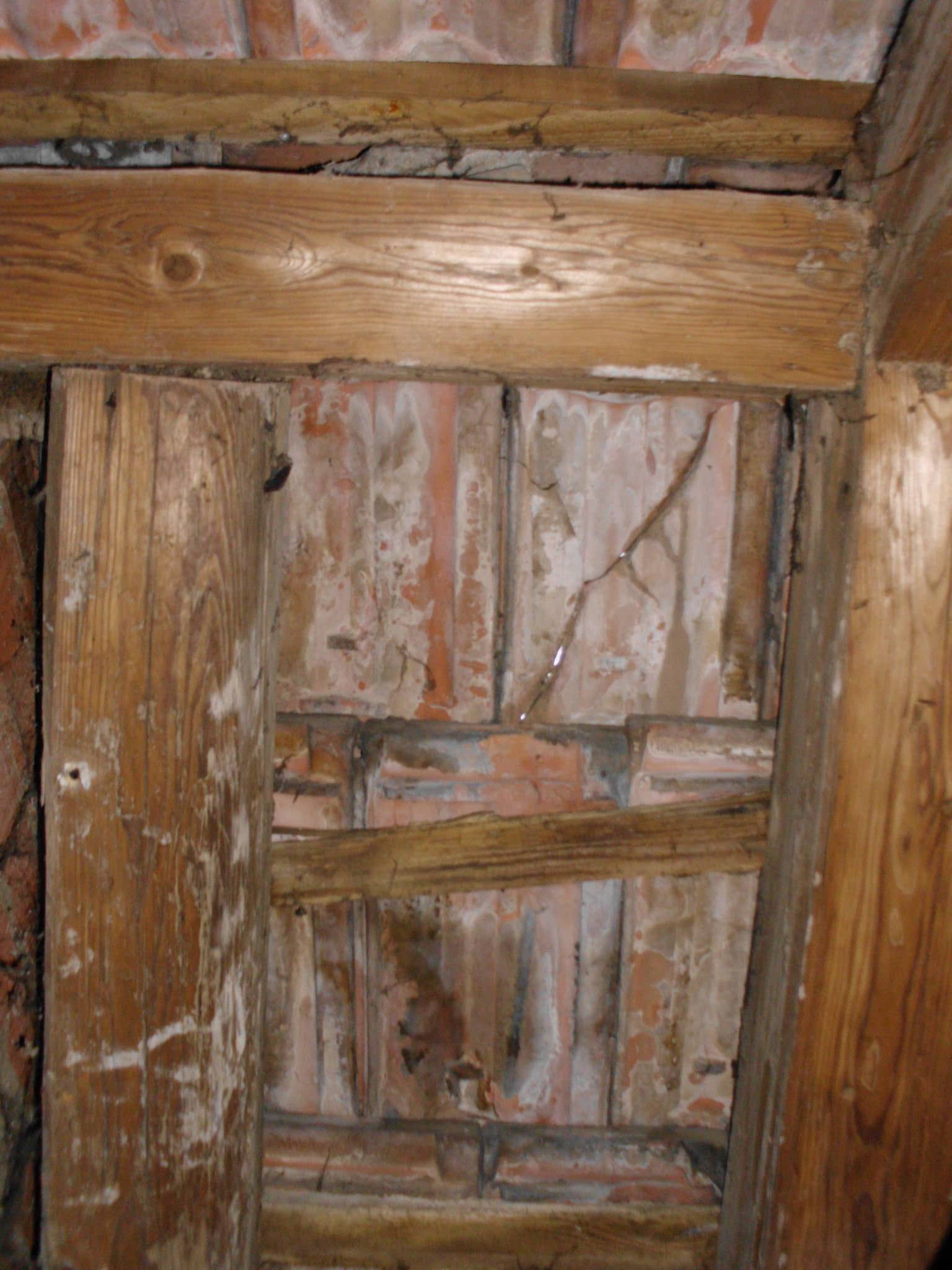 463830446_8807942522560699_3758920350589864318_n