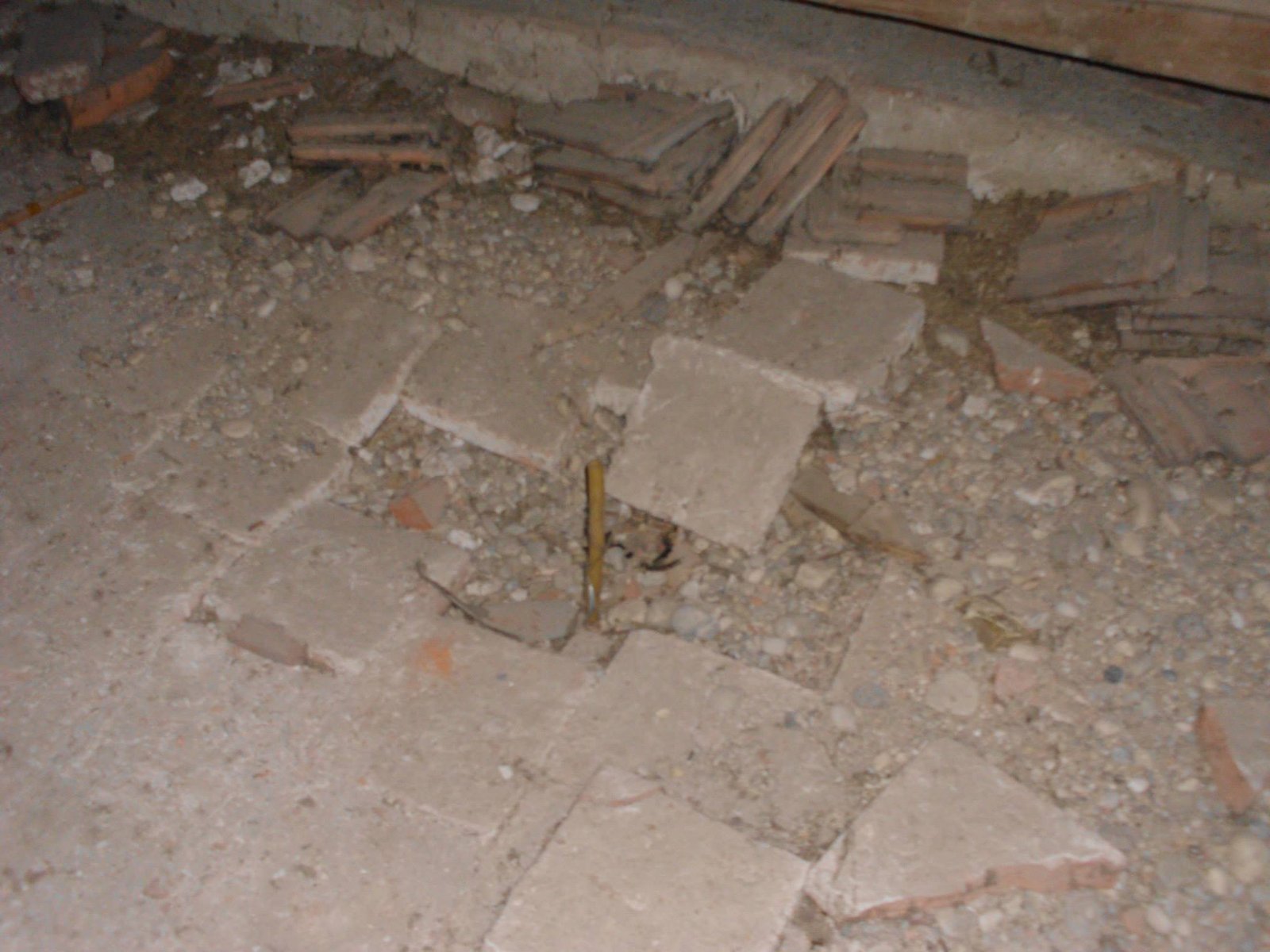 463840520_8807942172560734_6752837545383241873_n