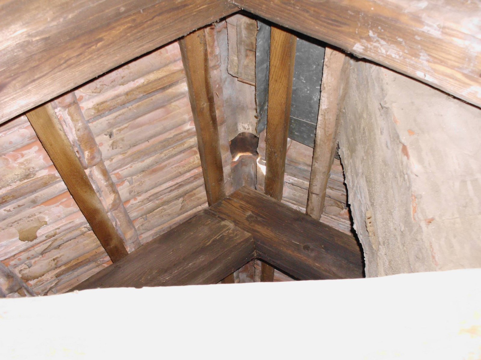 463858590_8807942182560733_3702769324654484895_n