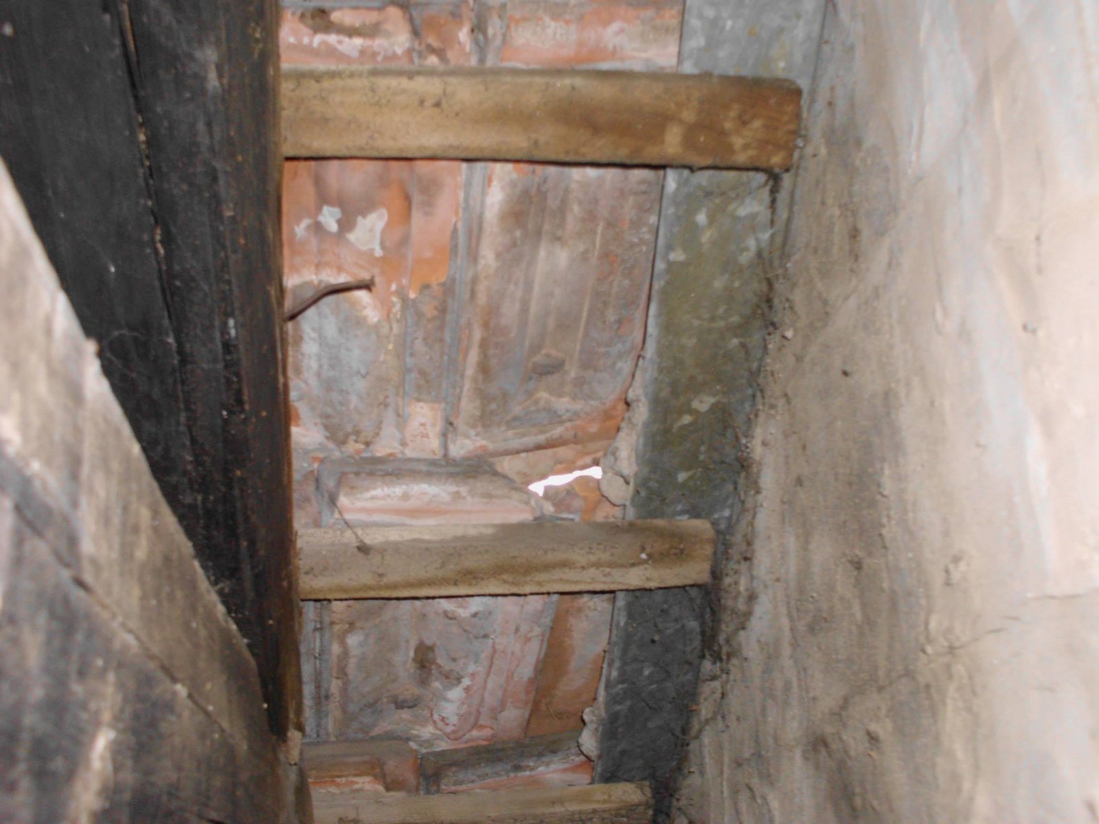 463879548_8807942175894067_2431780032256119694_n