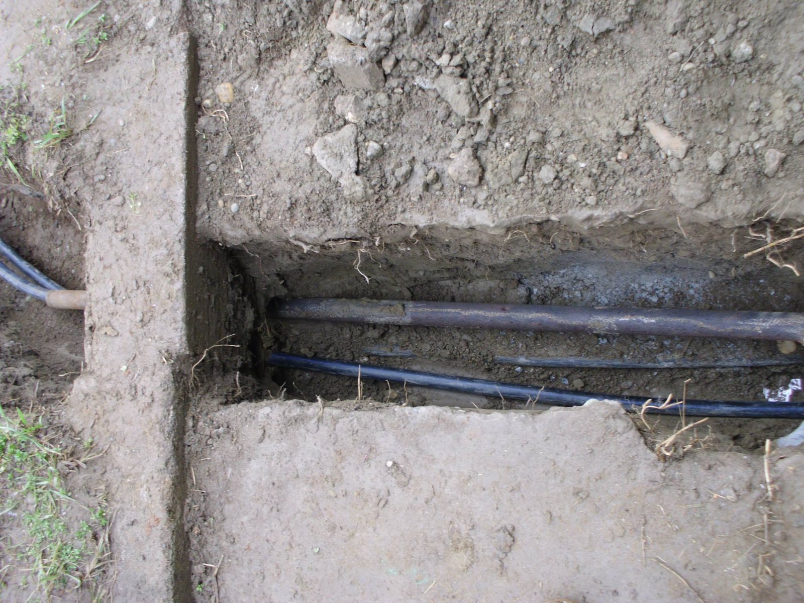 463909411_8807944232560528_8900687940162081472_n