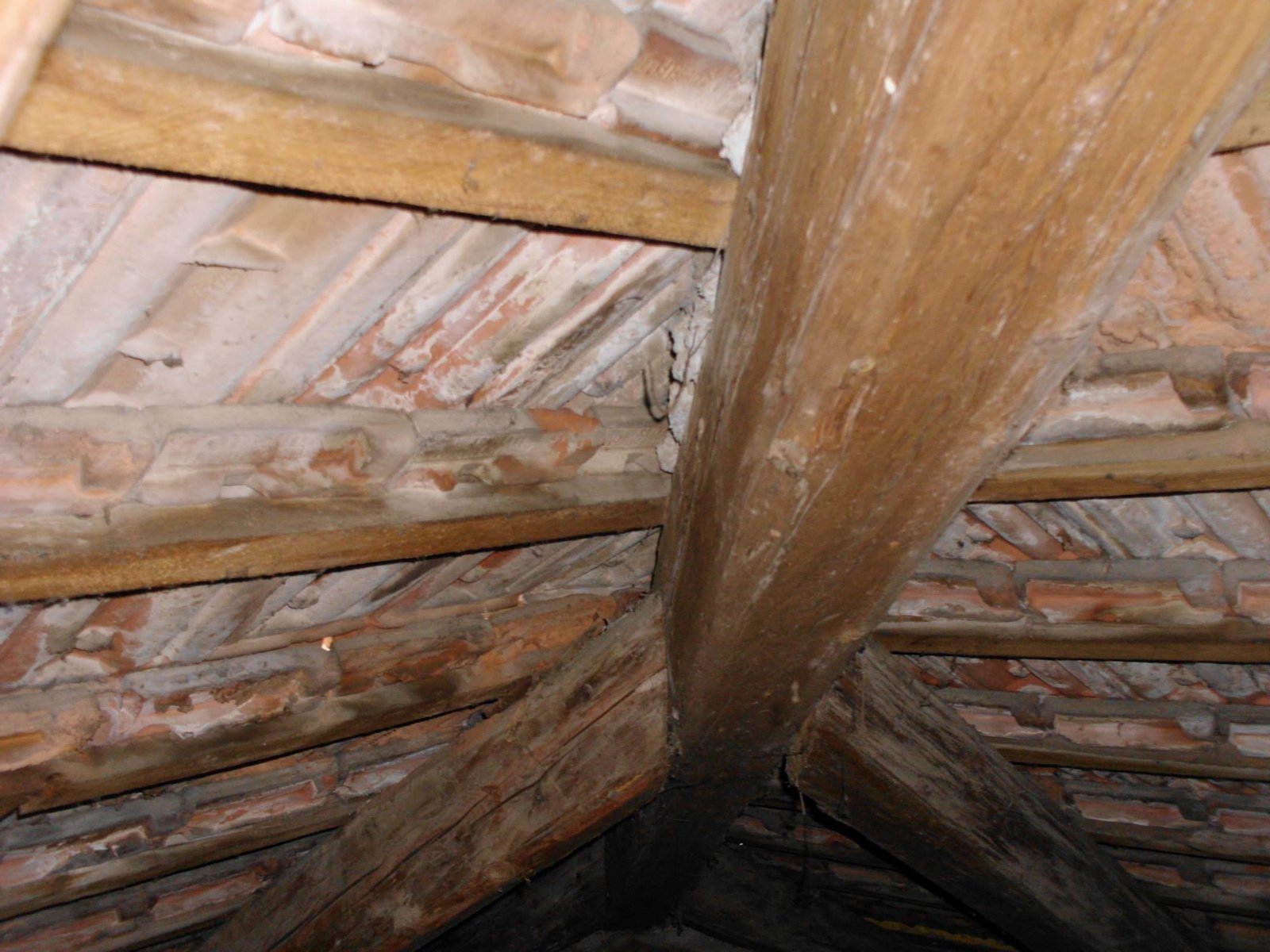 463909752_8807942165894068_2869345302654444299_n