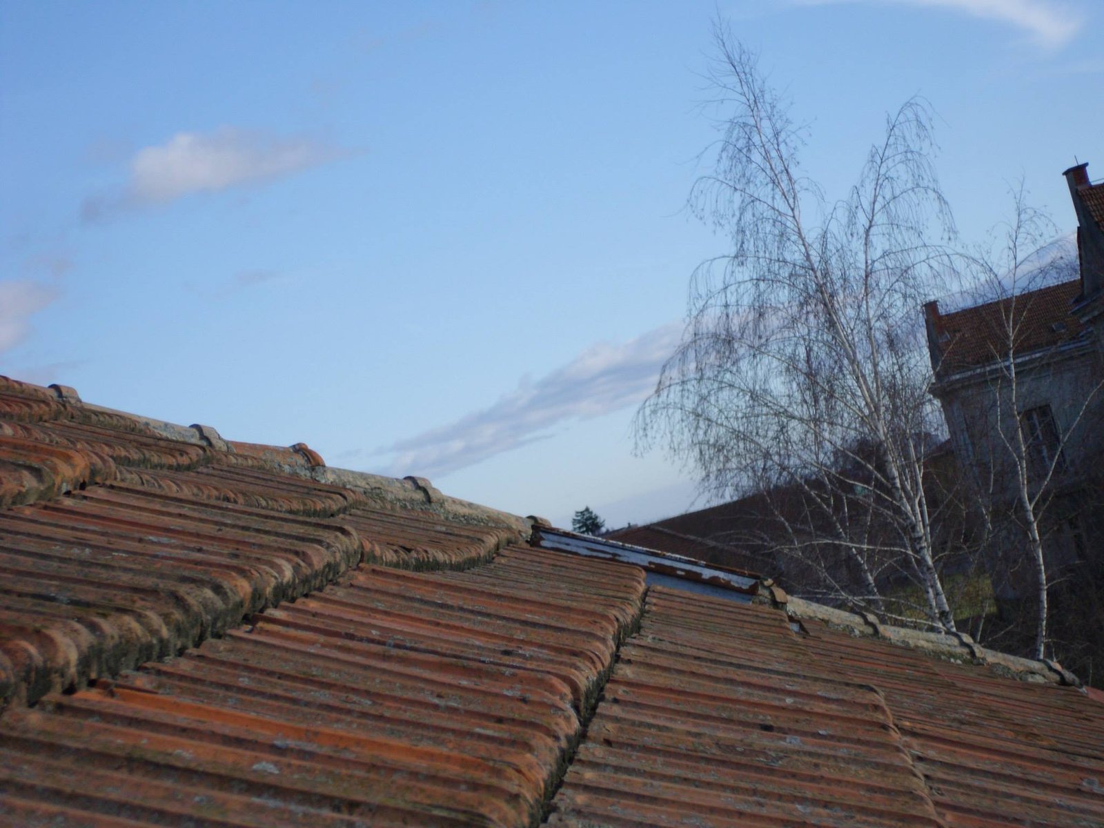 463928320_8807942512560700_6369181909431026213_n