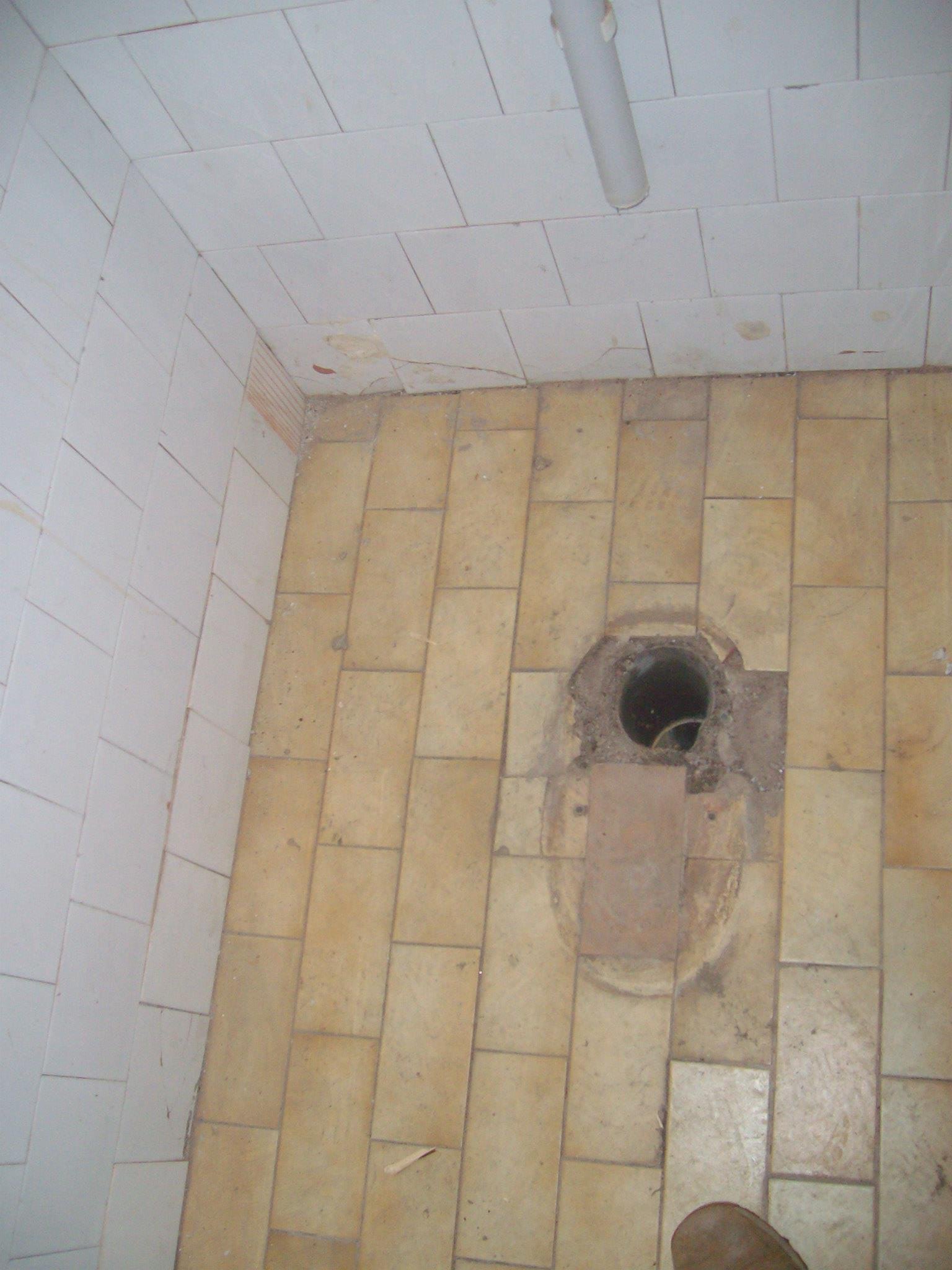 463965597_8803187006369584_2091735395368930045_n