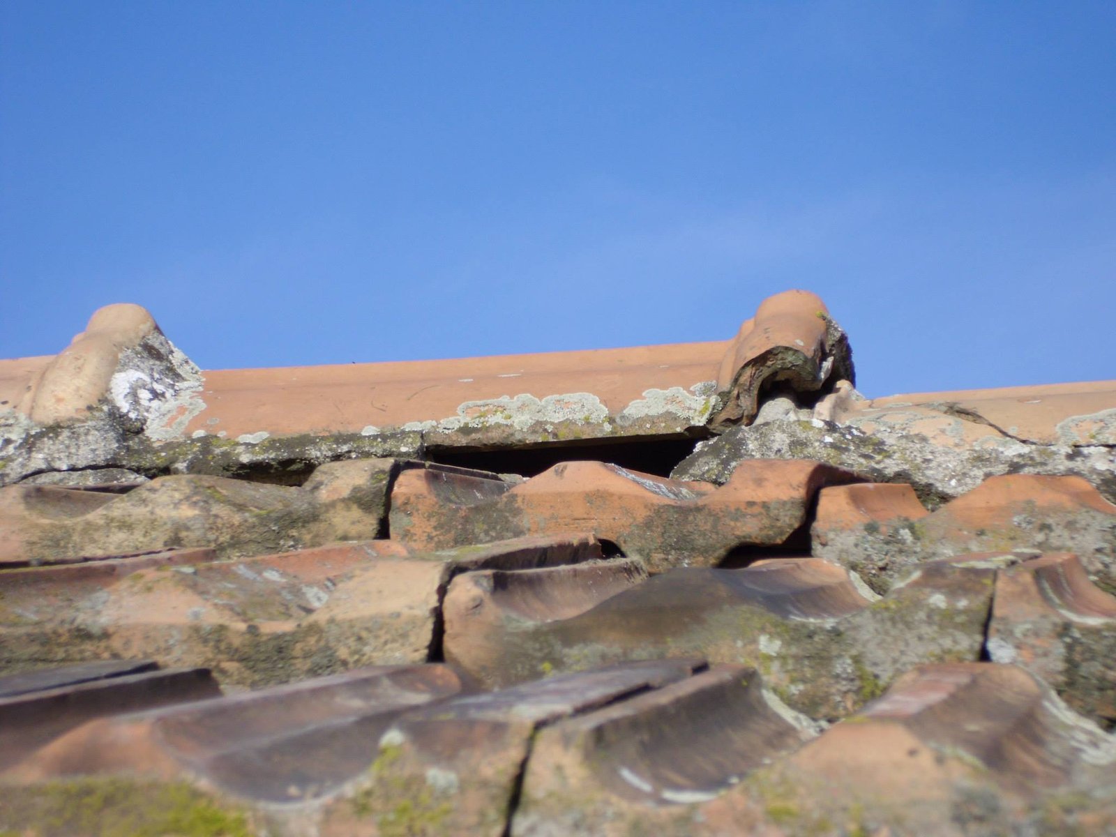 463970633_8807942505894034_2375698731561083493_n