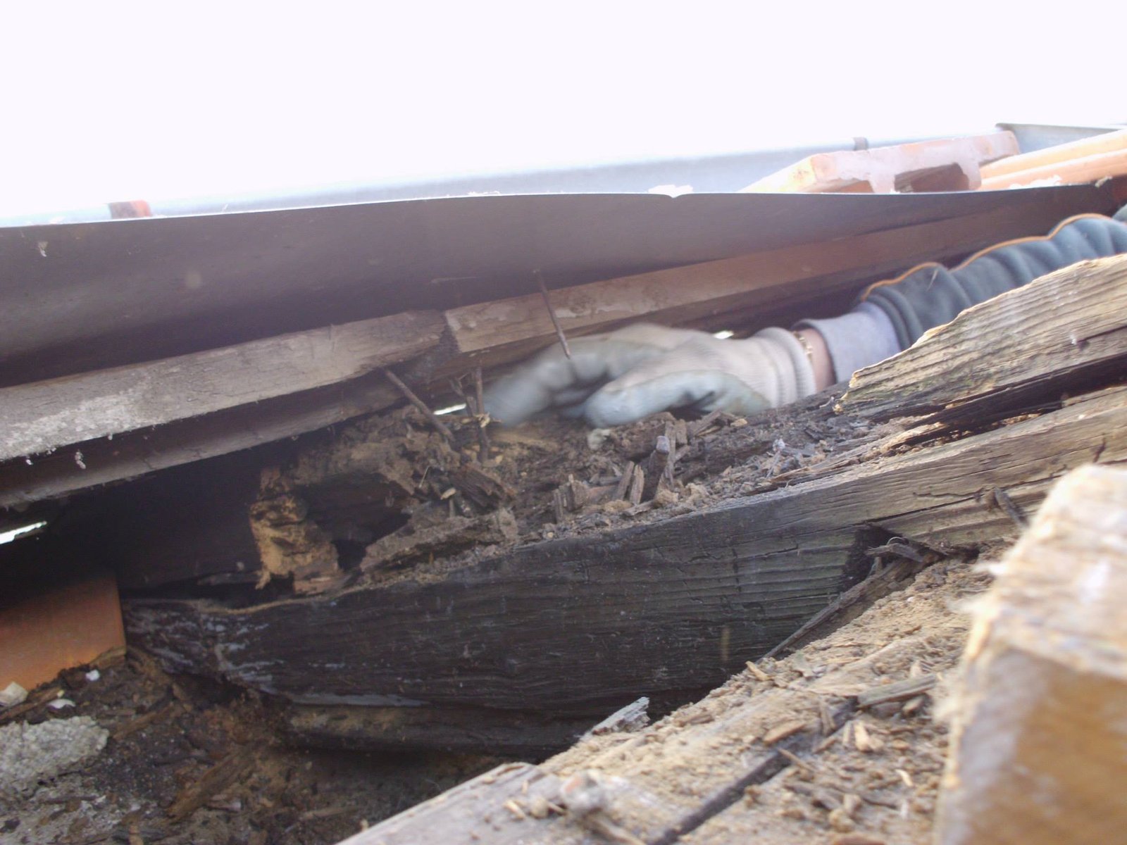 463971160_8807941852560766_7645717034843369919_n