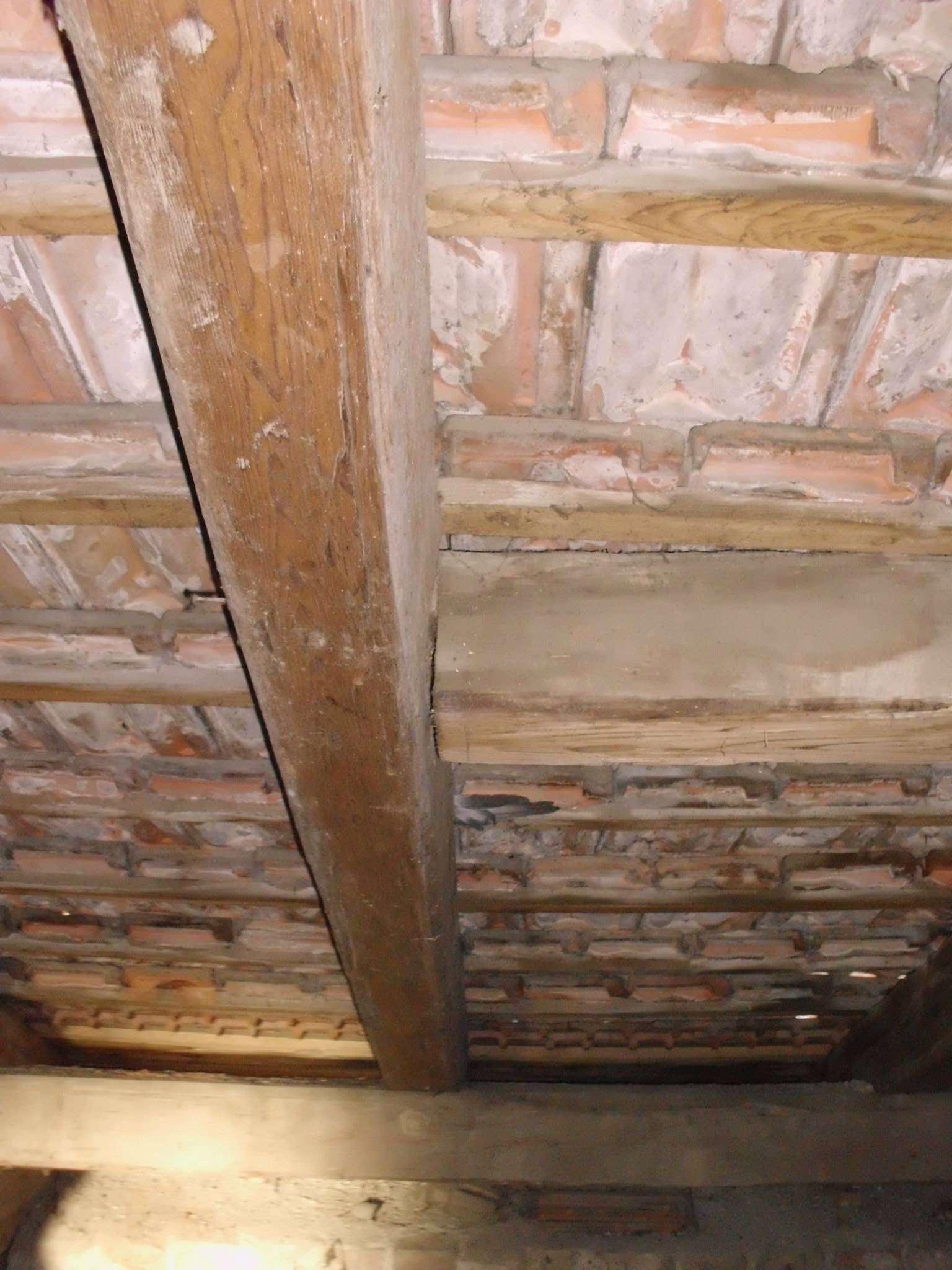 464005359_8807942899227328_4007156164996674623_n