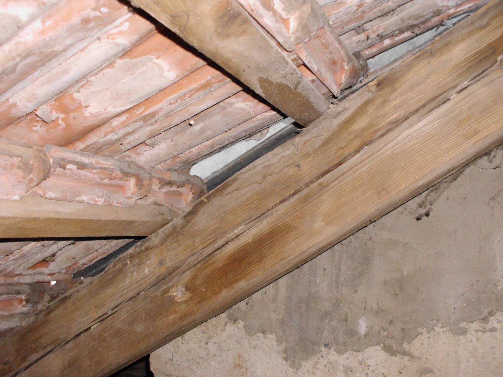 464005911_8807942162560735_9140909147041333684_n