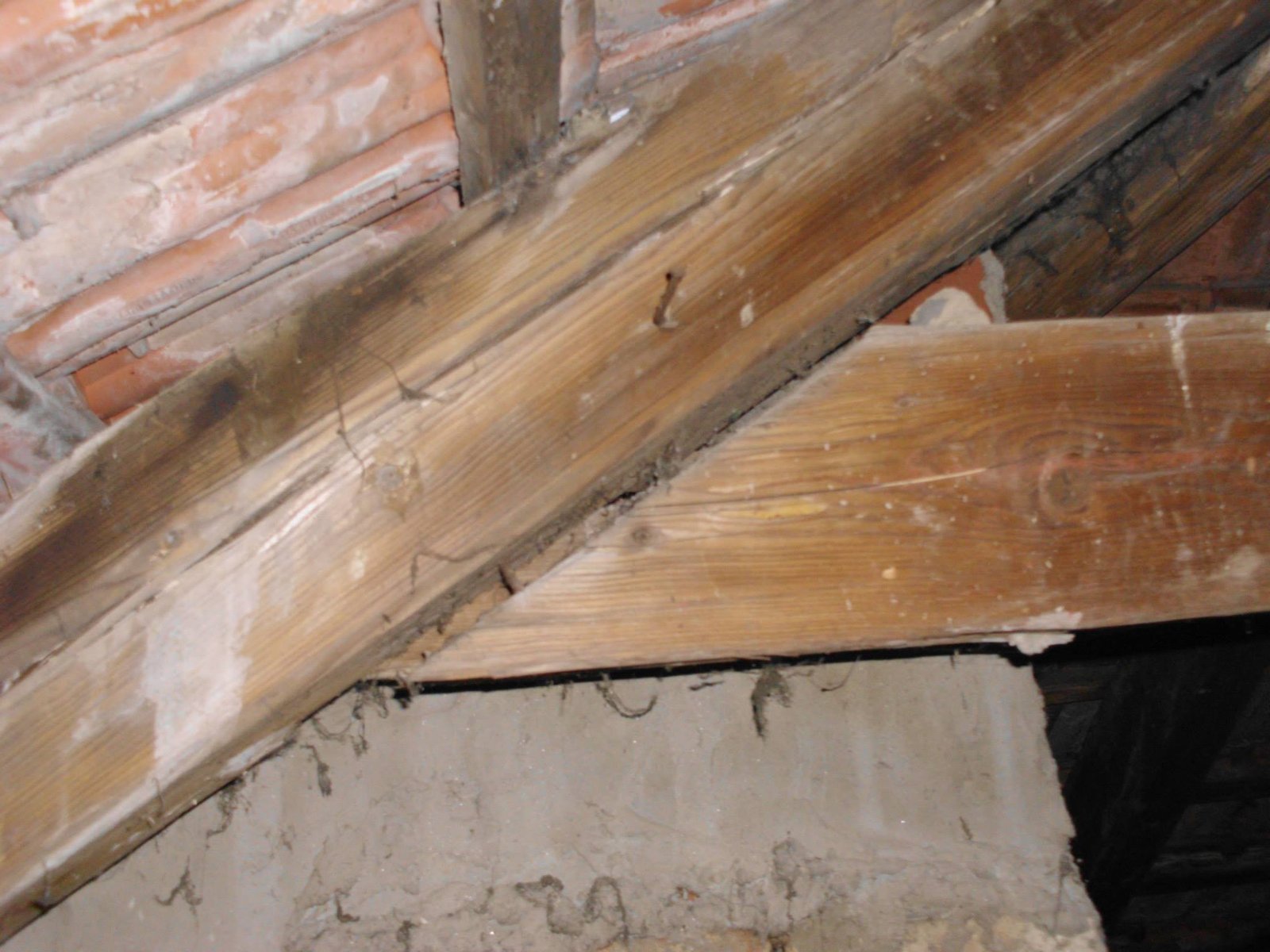 464013643_8807942185894066_8873139581363910201_n