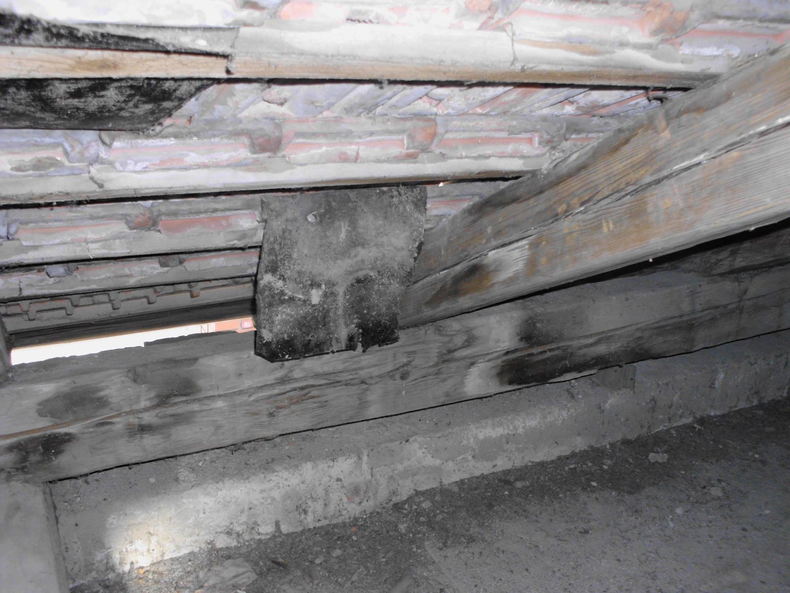 464013856_8807942192560732_4380442545215343705_n