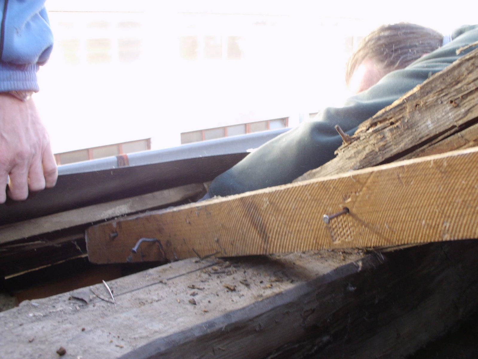 464028943_8807941849227433_612020858497542391_n