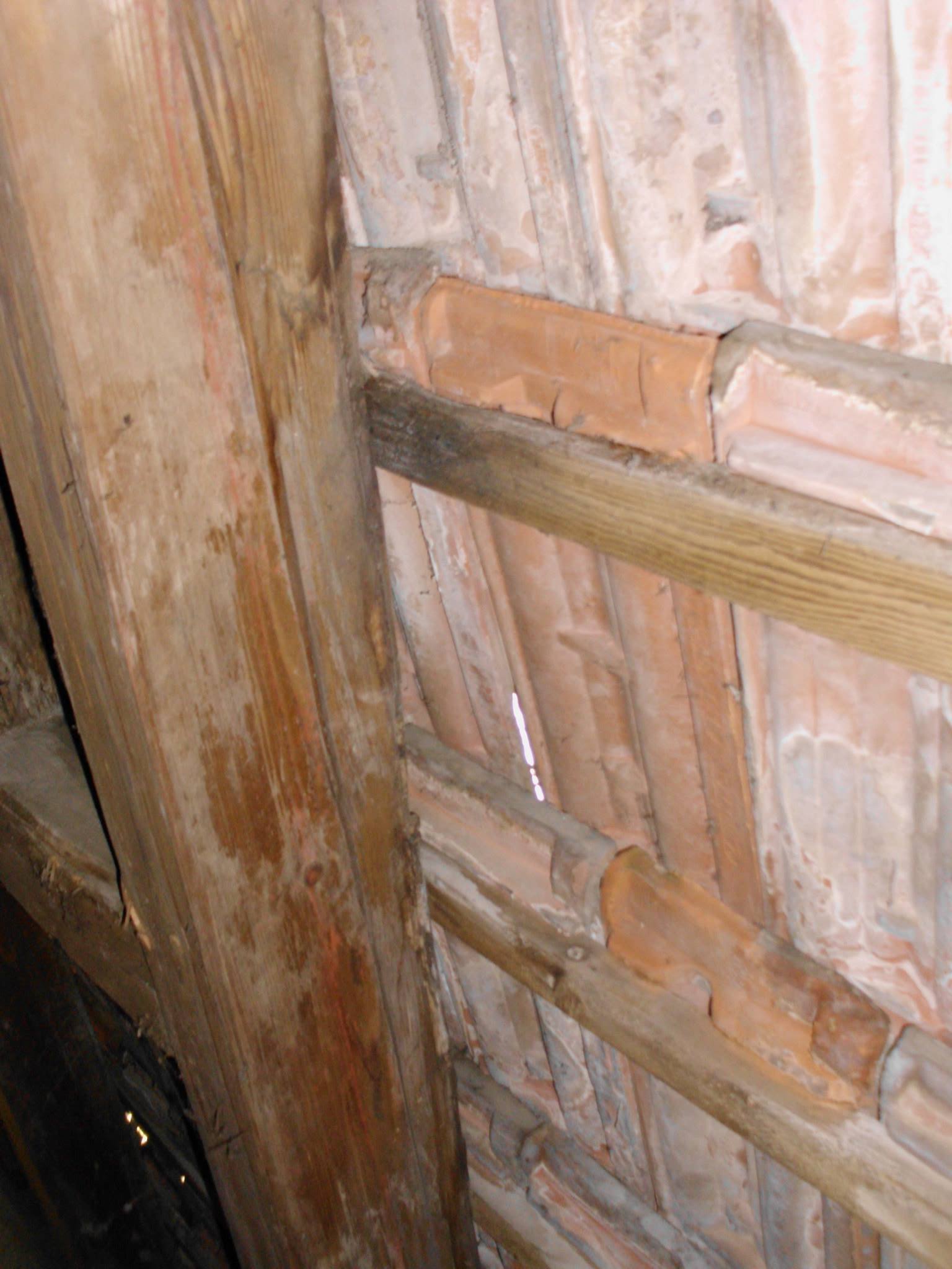 464049157_8807942879227330_5122526013019117285_n