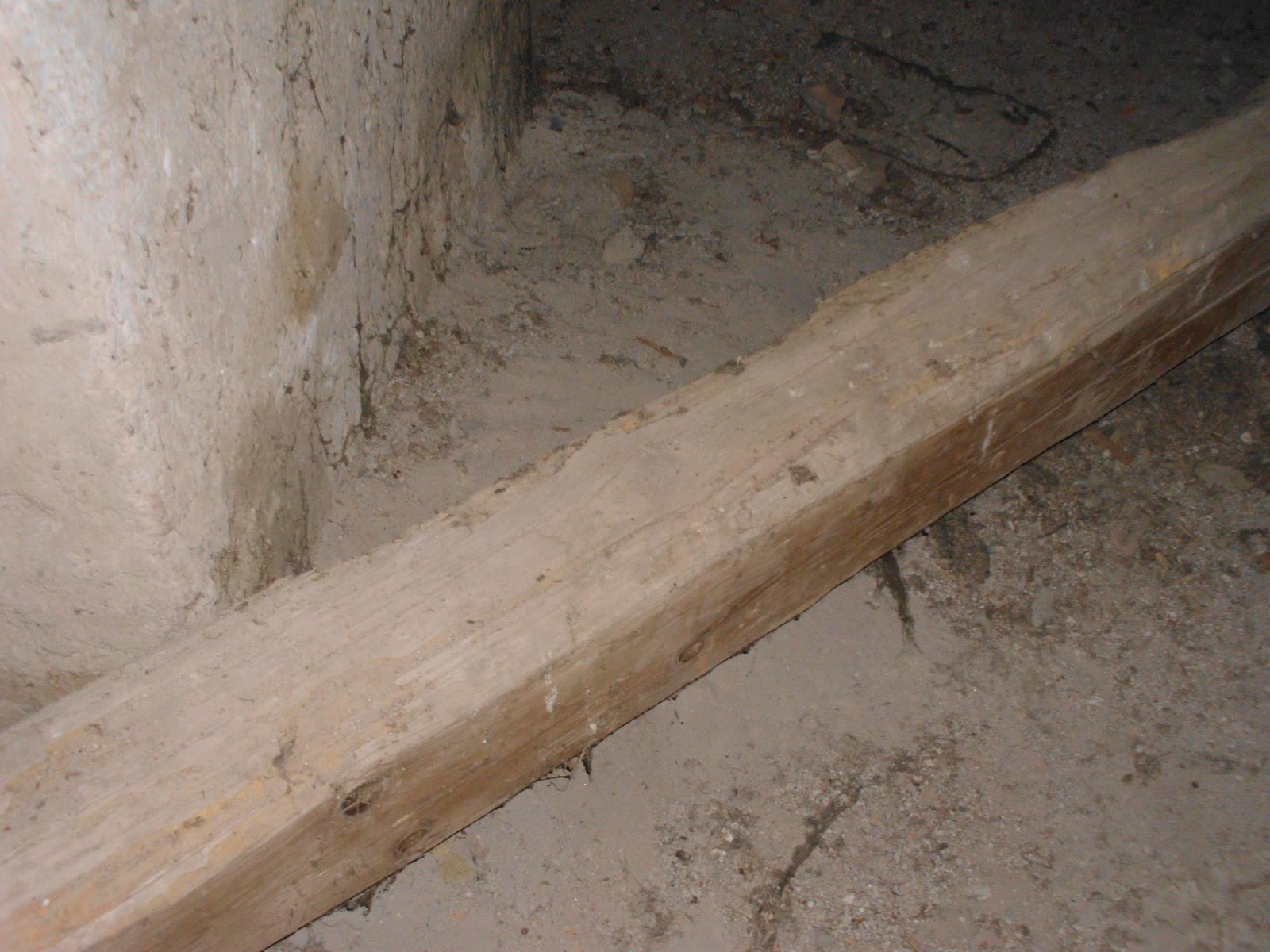 464065071_8807942179227400_5878062257998762286_n