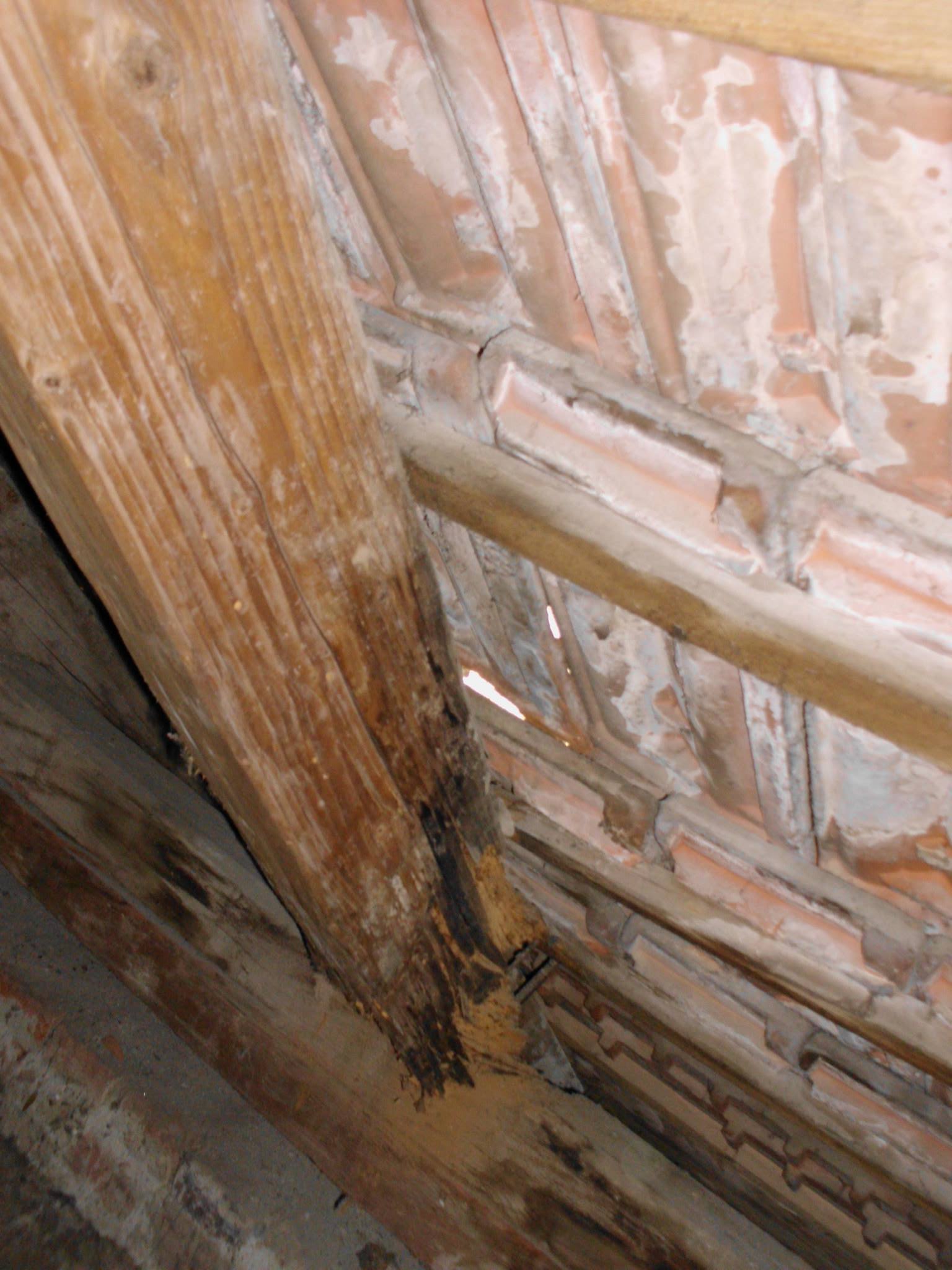 464067352_8807942872560664_2407197855950899845_n