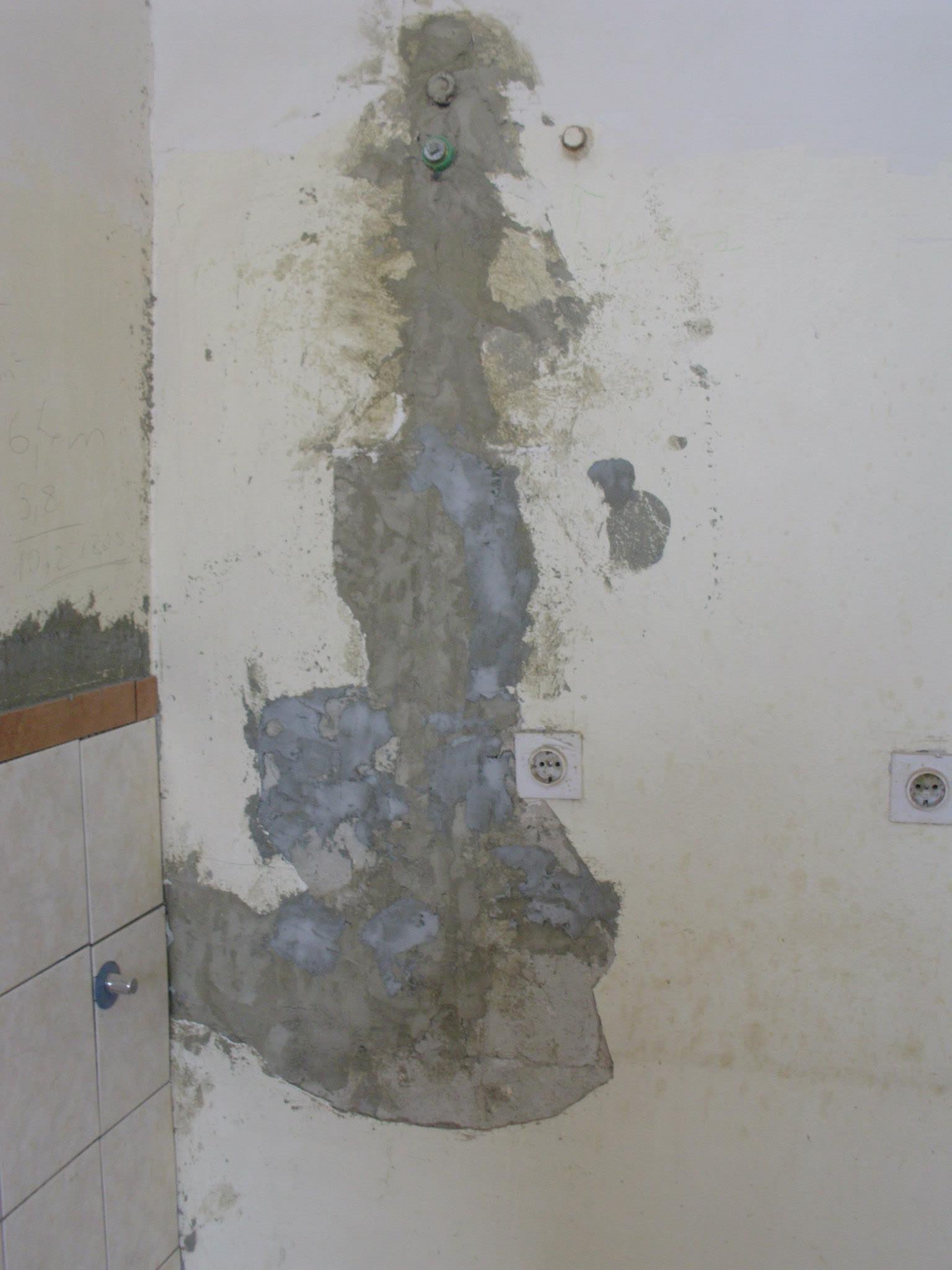 463963903_8814349728586645_6946368474960710088_n