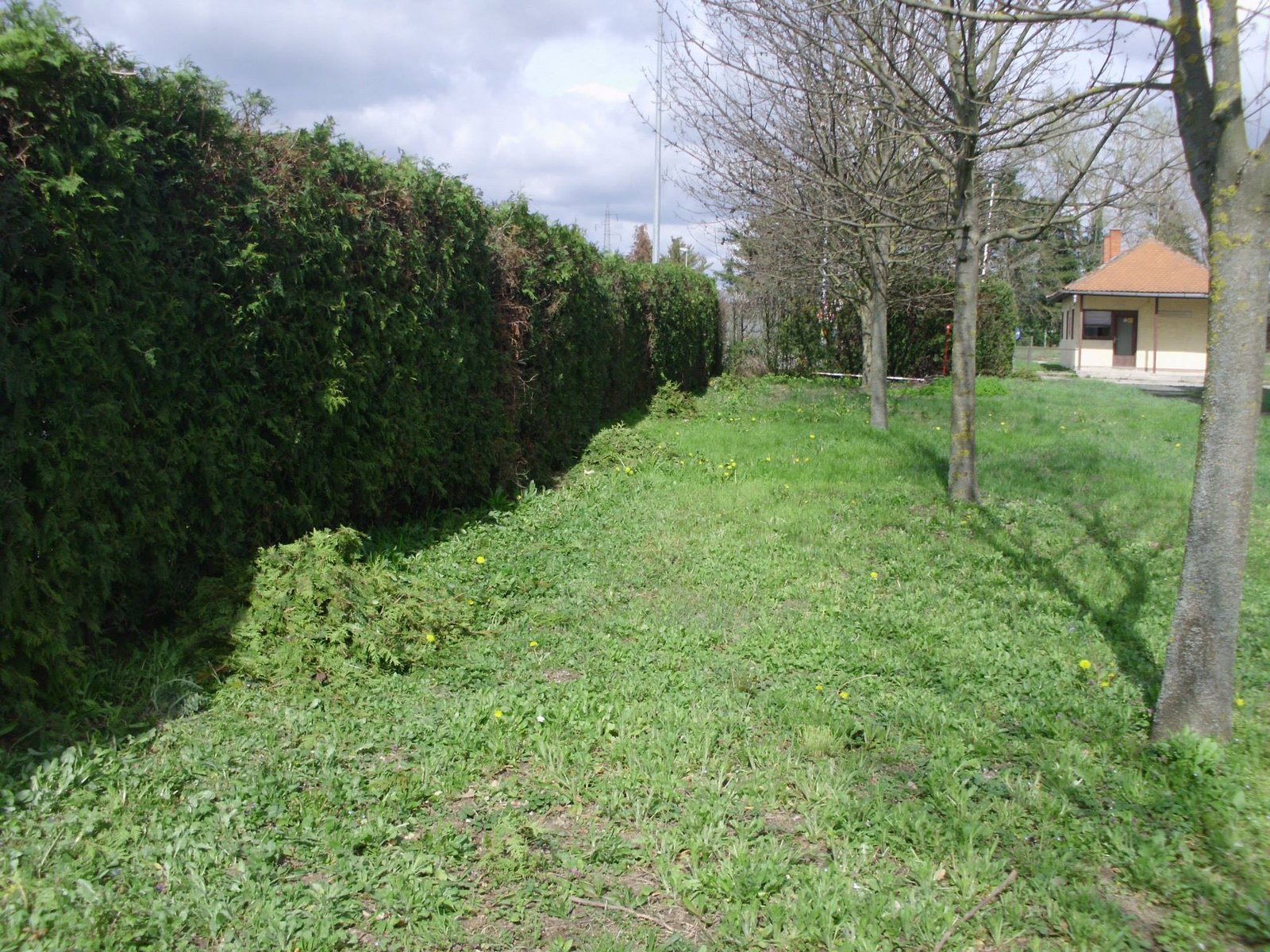 464042567_8814907431864208_2768029836180765184_n