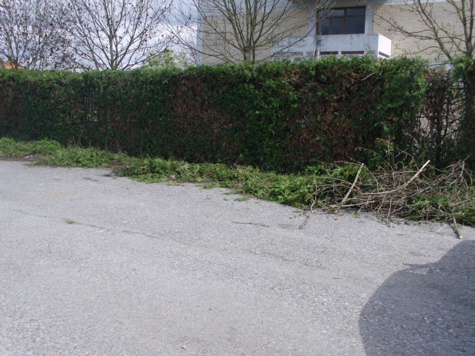 464043716_8814907715197513_1278756554706801561_n