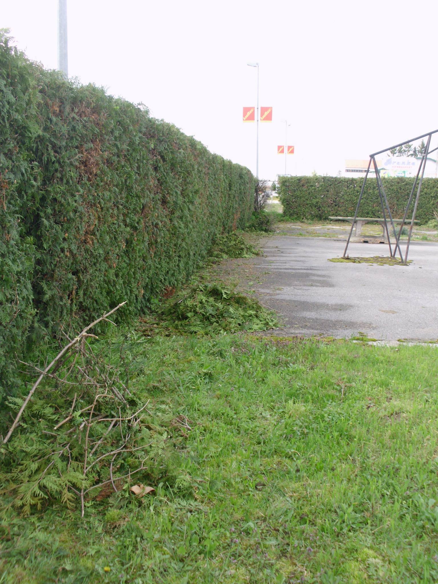 464131986_8814907178530900_104030666782509378_n