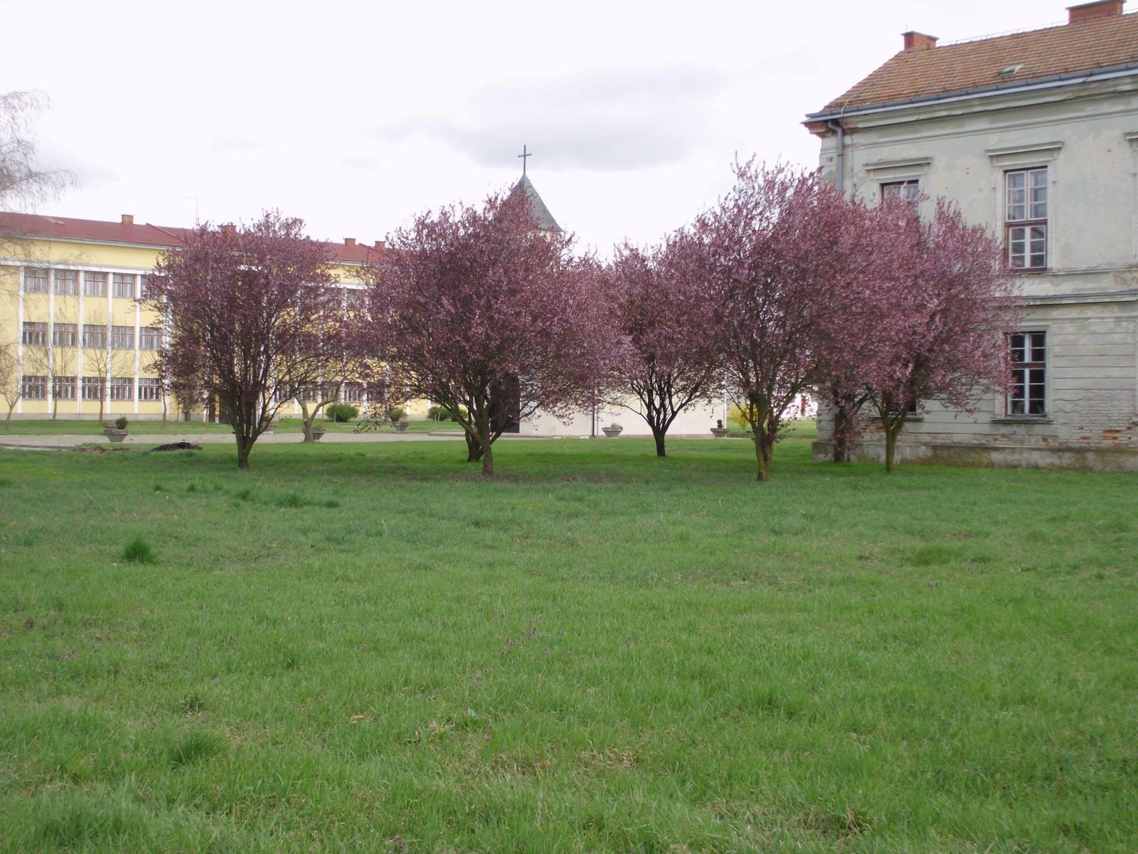 464148582_8814907728530845_8714067121723172153_n