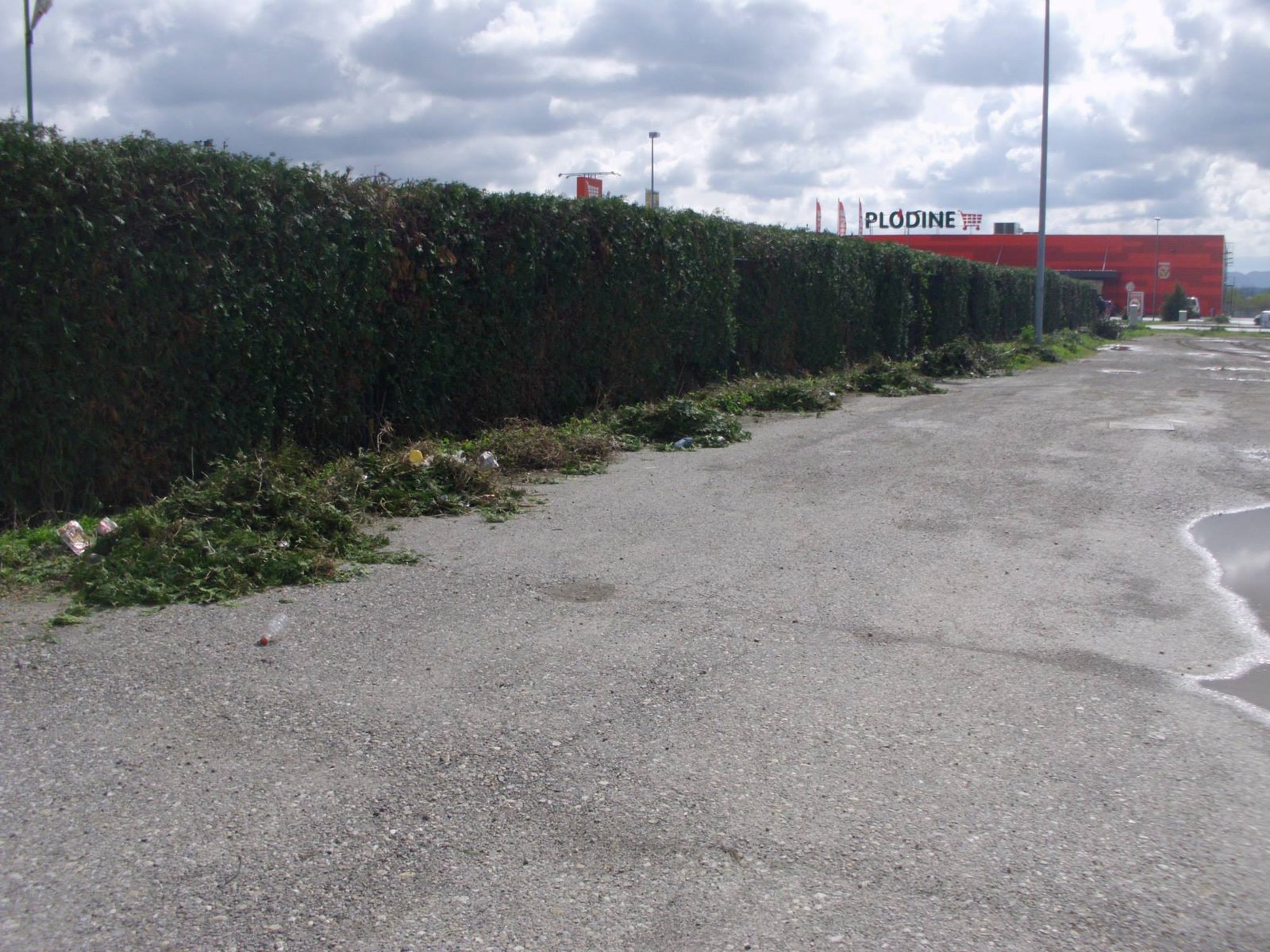 464285720_8814907438530874_3209954849608441174_n