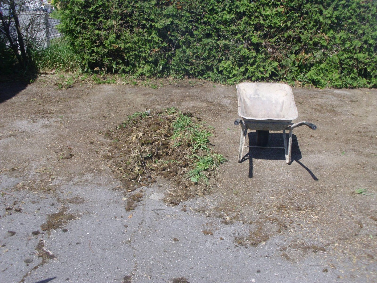 464490622_8853373551350929_4325582889909525701_n