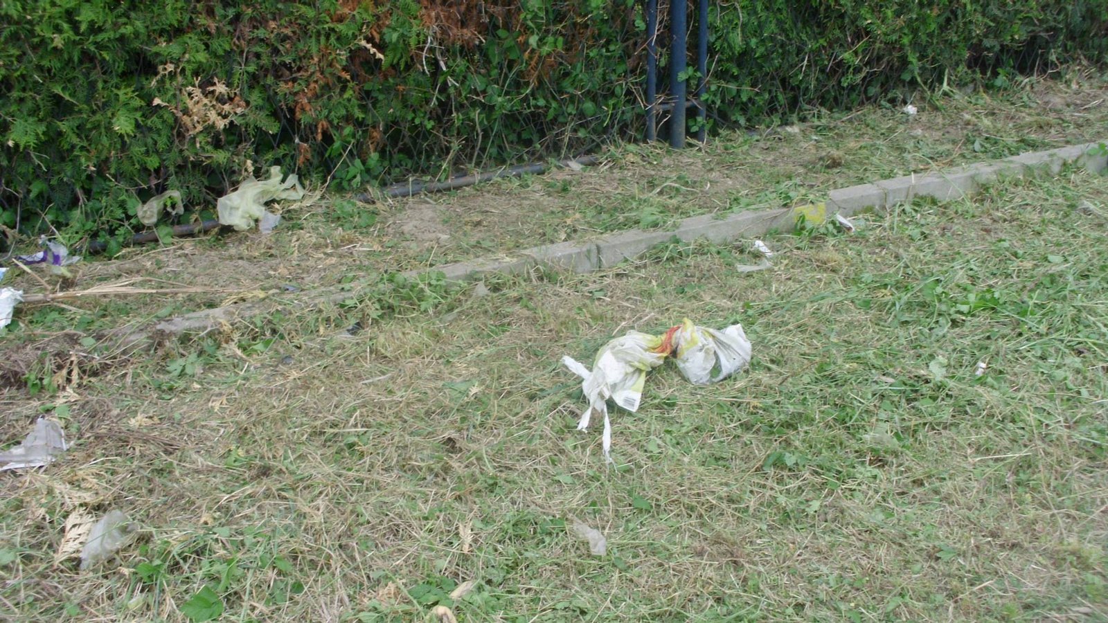 464571801_8853052198049731_5418678904283262432_n