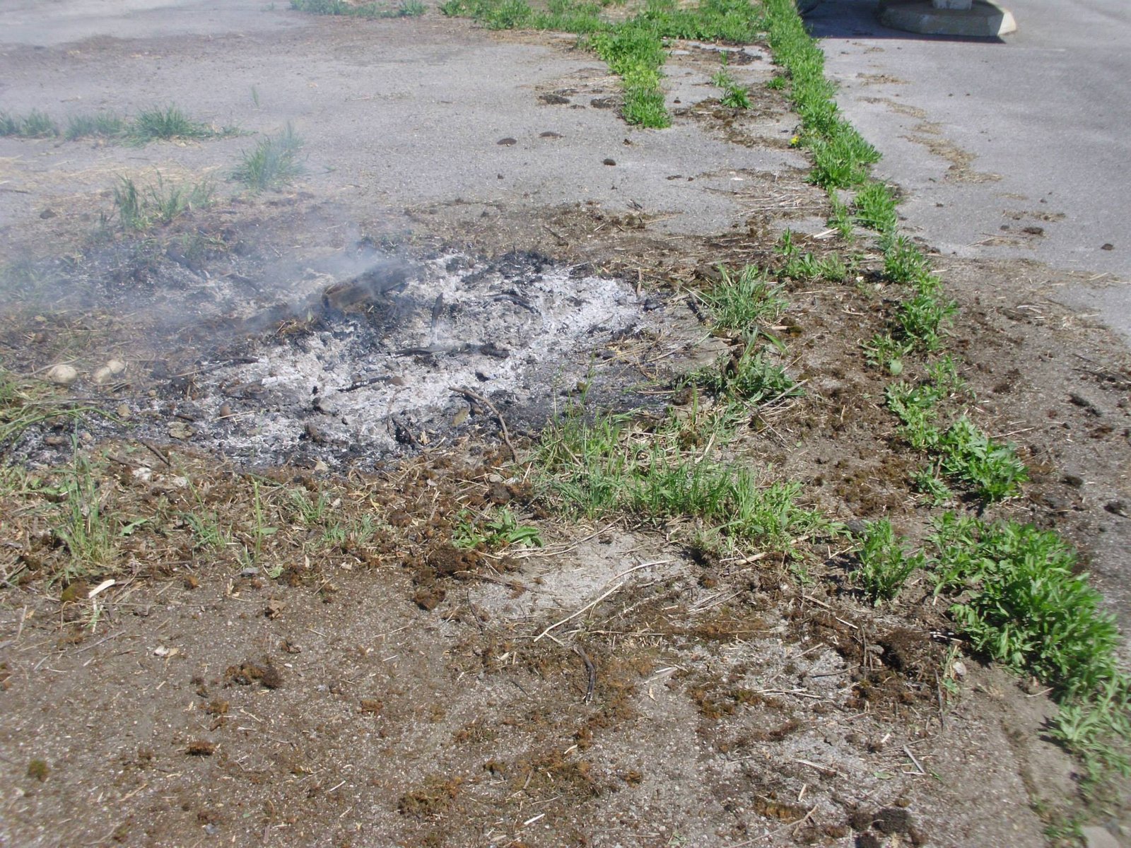 464673125_8853373541350930_3023939031546677017_n