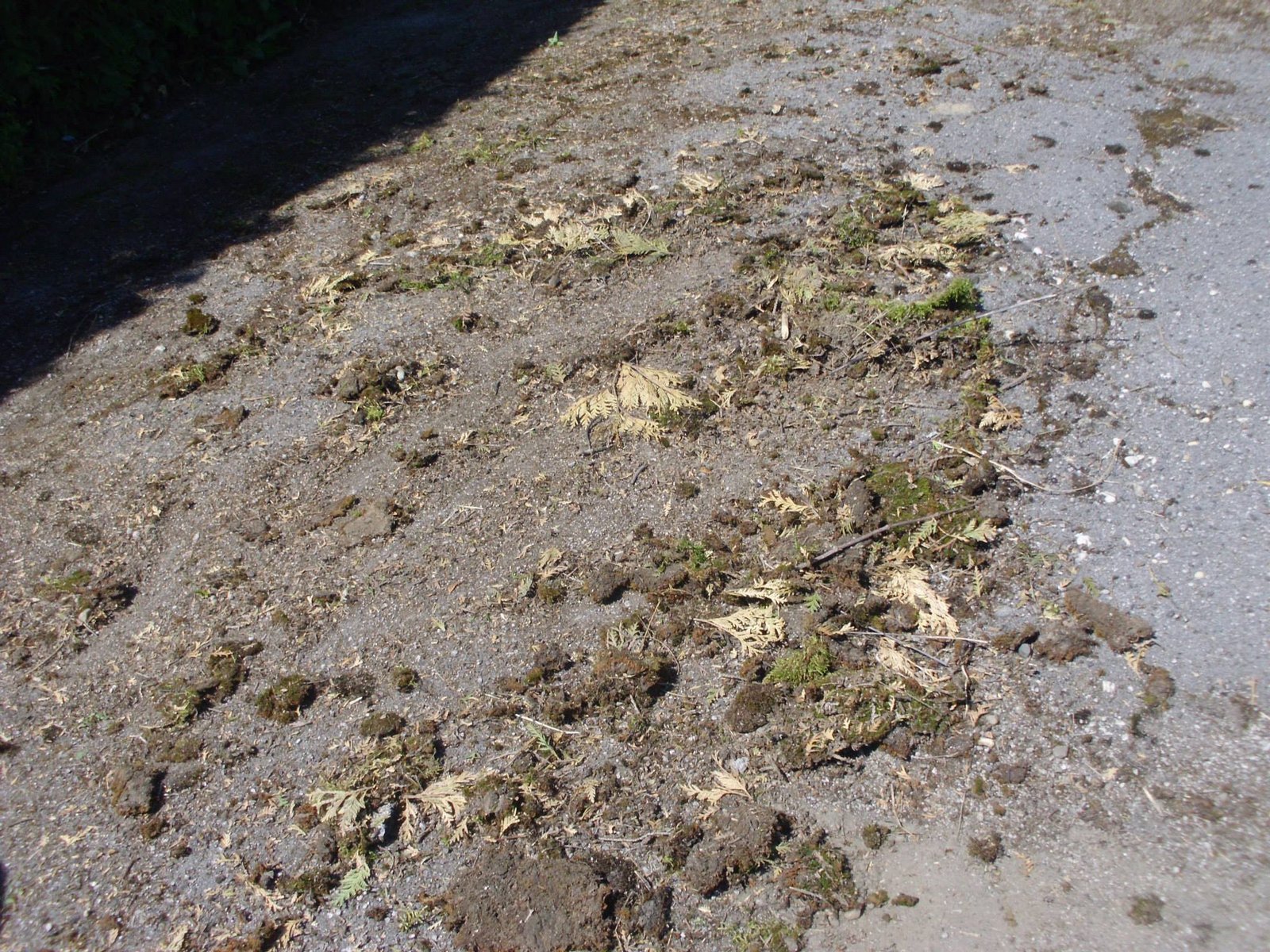 464795002_8853373554684262_1772701687529552633_n