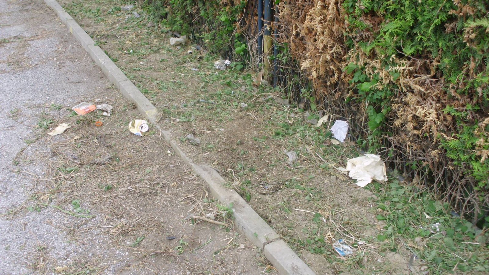 464863069_8853052584716359_2566470876843672580_n