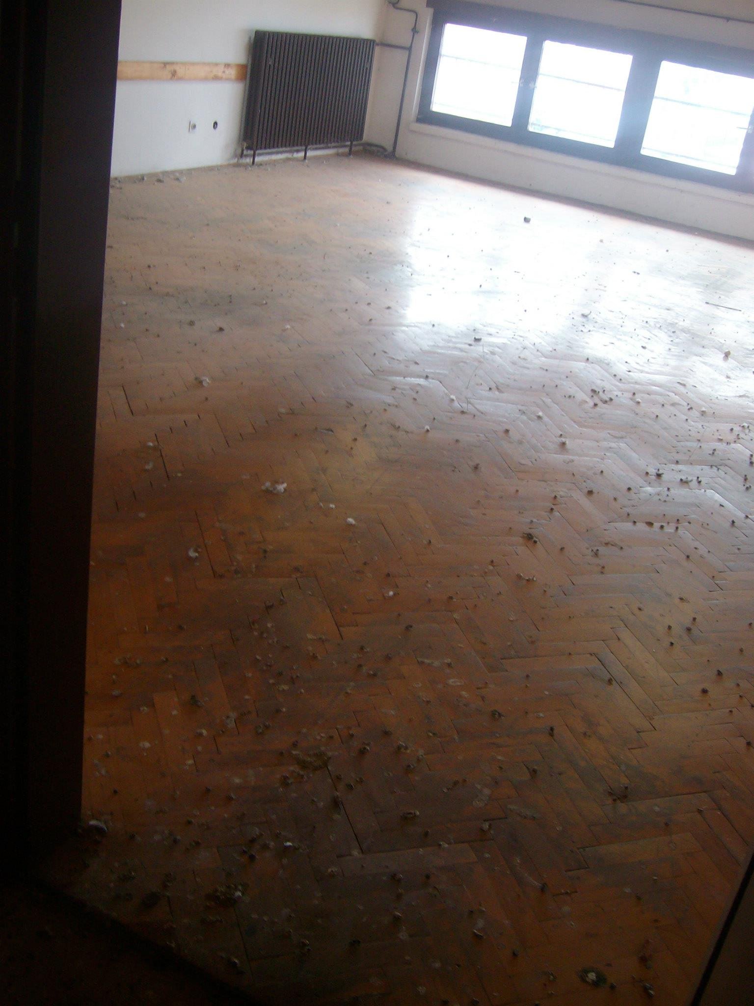 461508334_8778077618880523_6601042245267897369_n