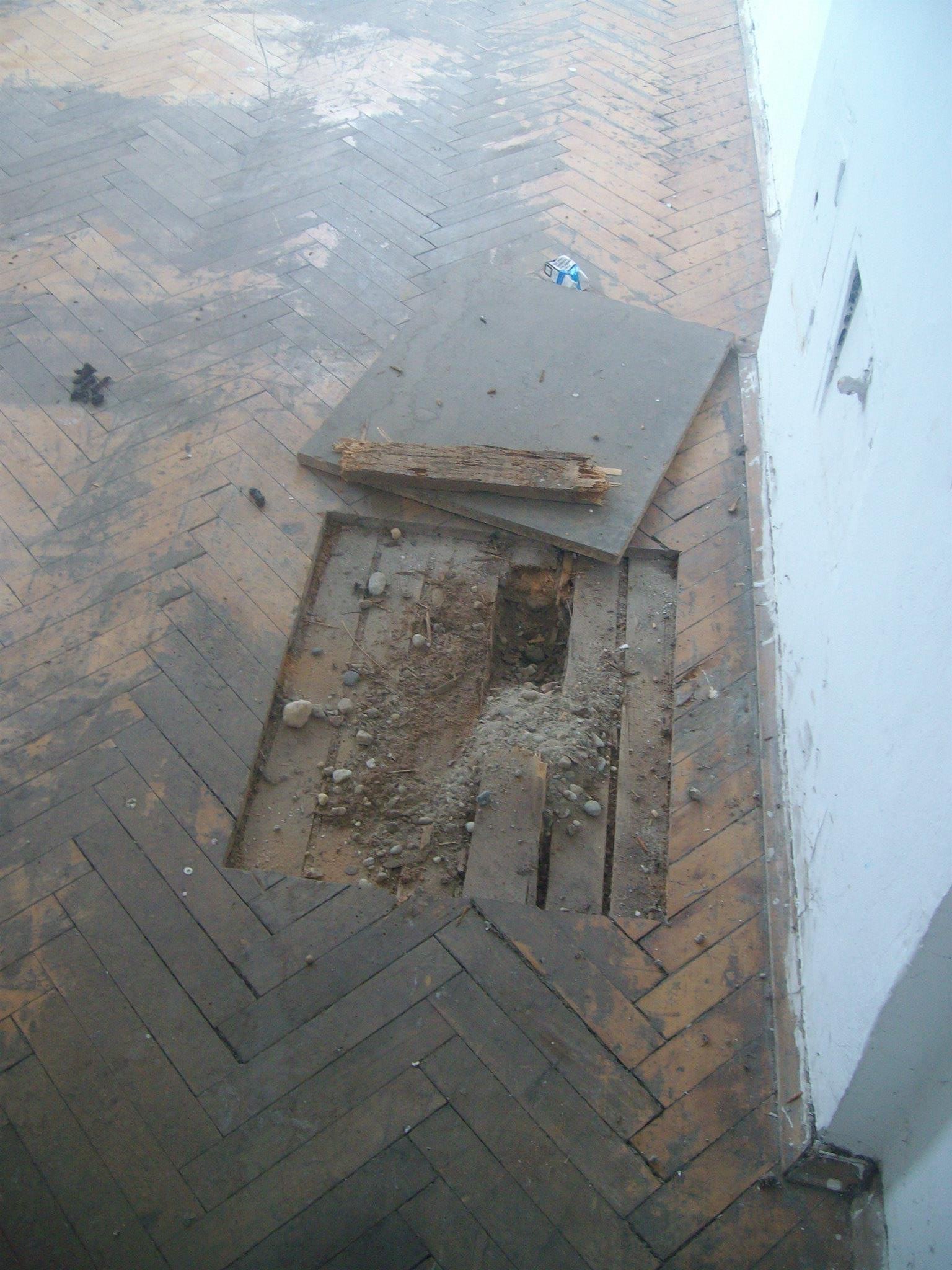 462715272_8778072198881065_586132878566945325_n