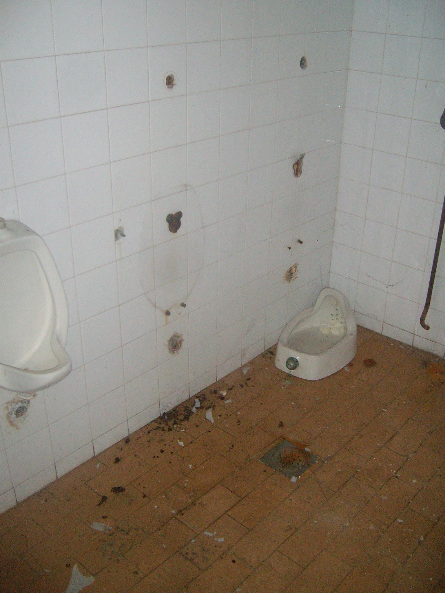 462802177_8778076825547269_7990065189324212695_n