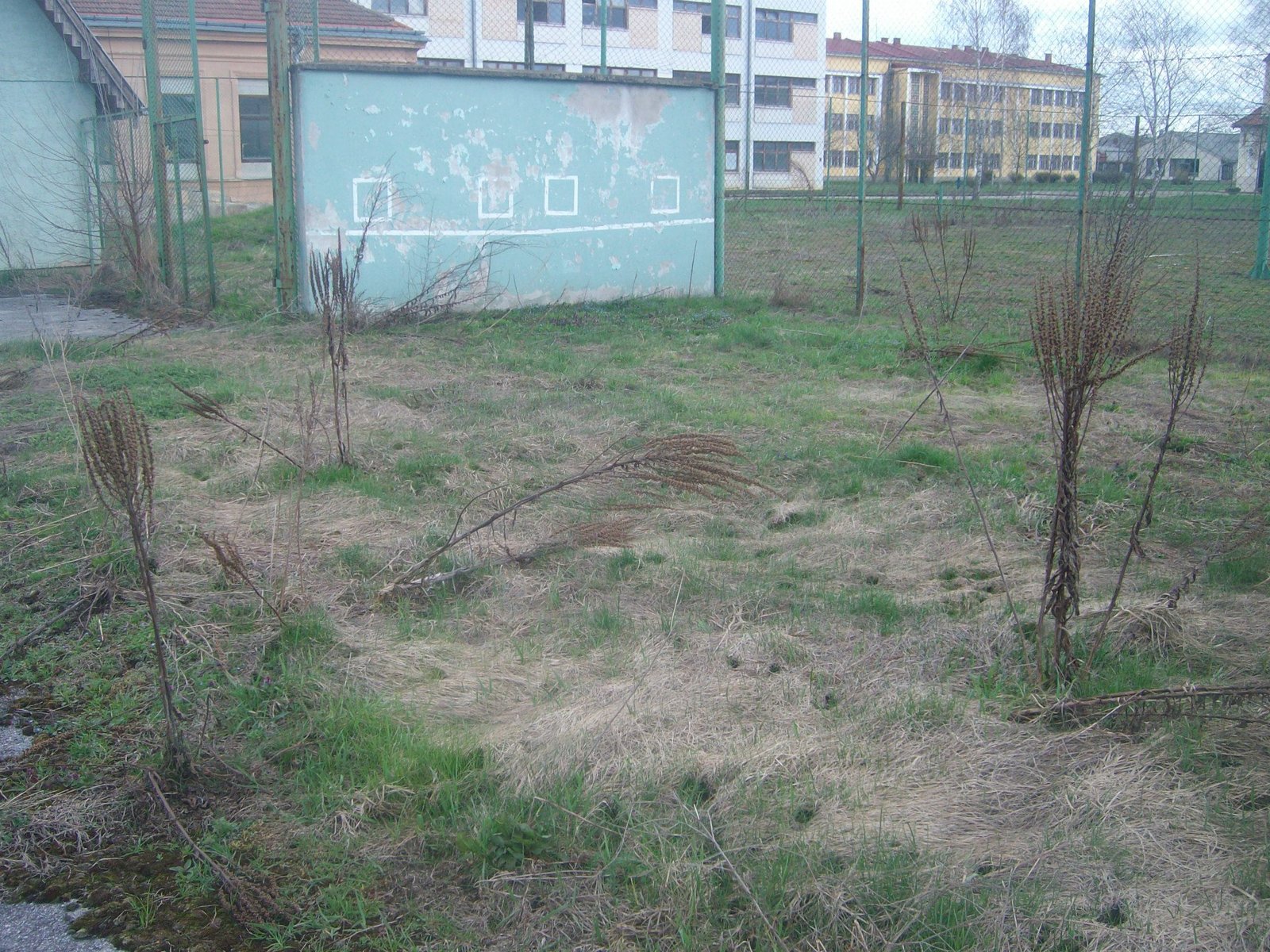 462802835_8778072962214322_7693275491091396271_n