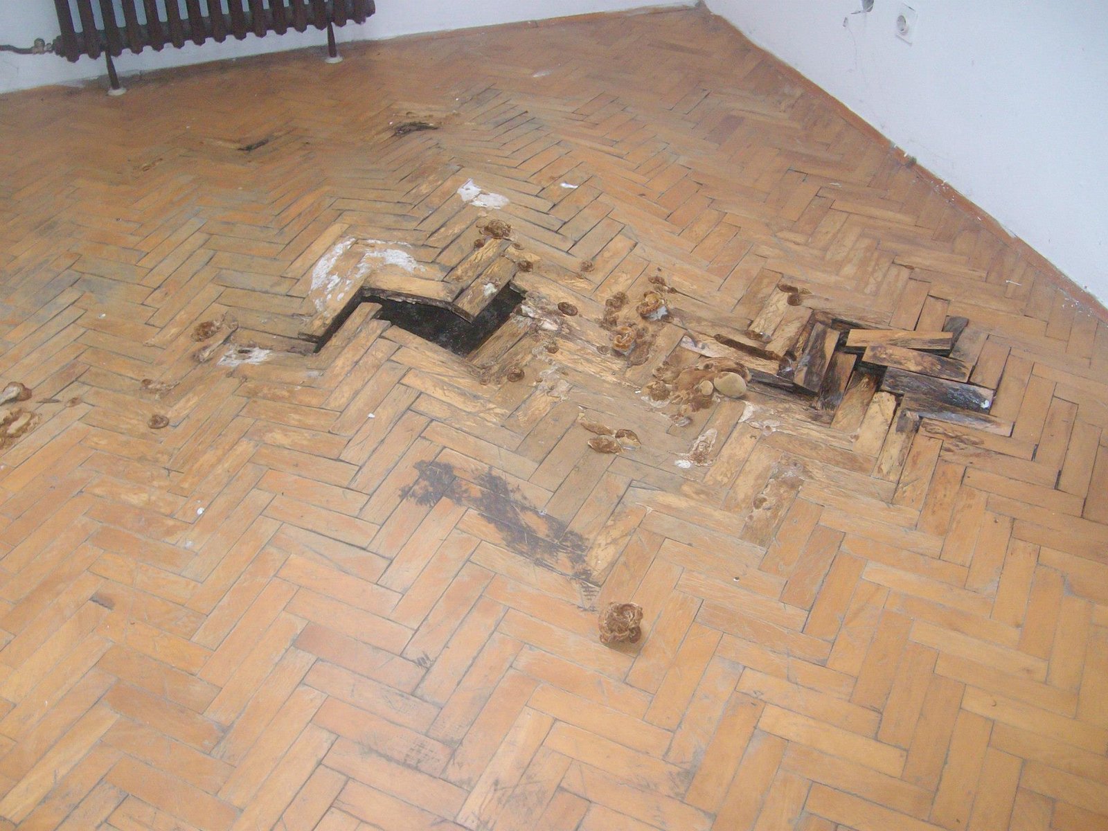 462839844_8778078095547142_3137923986743242825_n