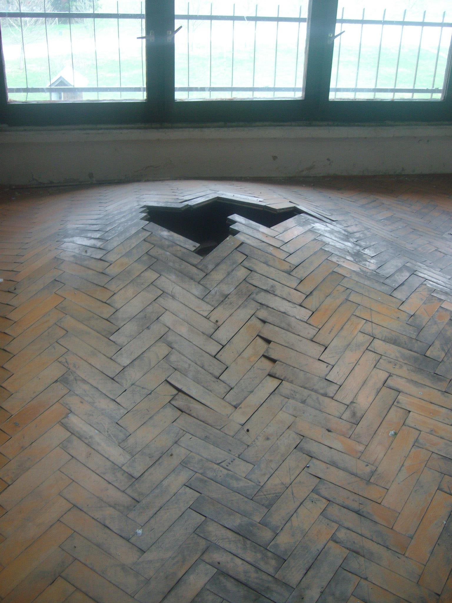 462849636_8778078548880430_8200857941232731370_n