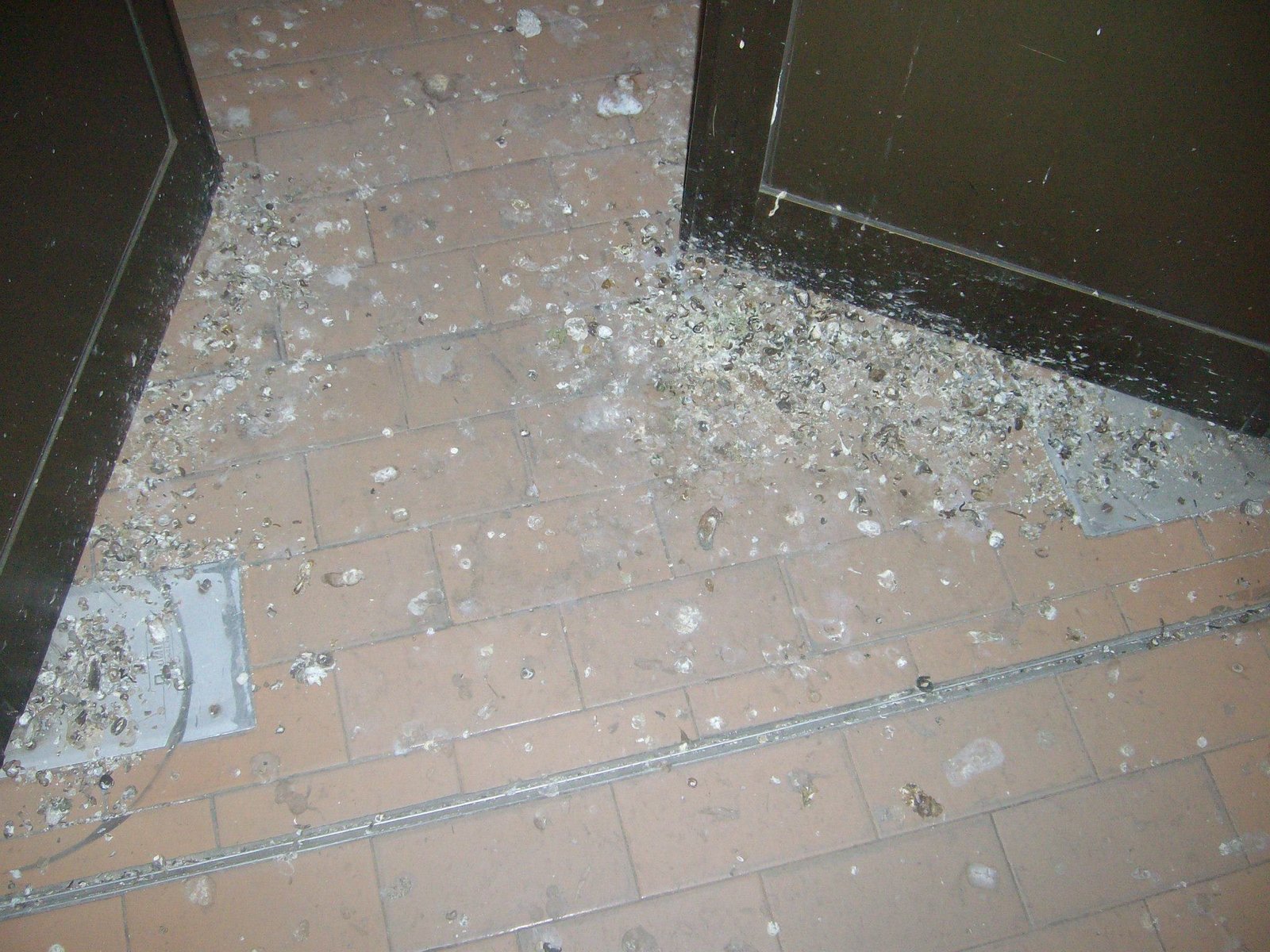 462850512_8778077242213894_9086220677009871244_n