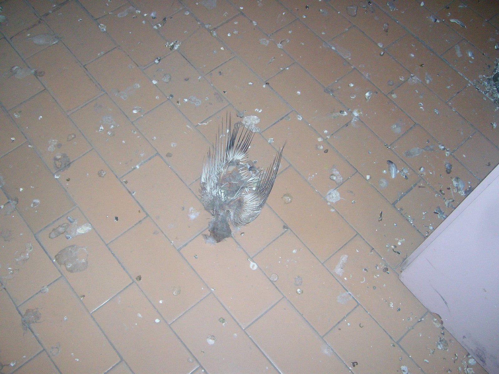 462852928_8778077258880559_3329960005929715712_n