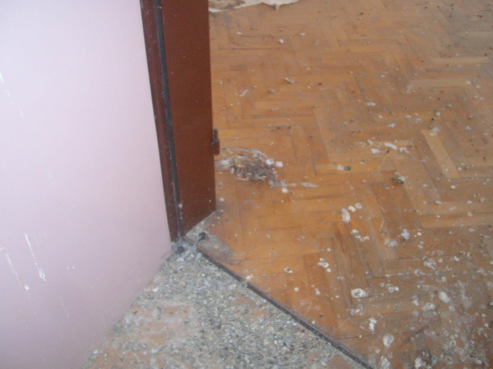 462853319_8778077628880522_5120680423609657887_n