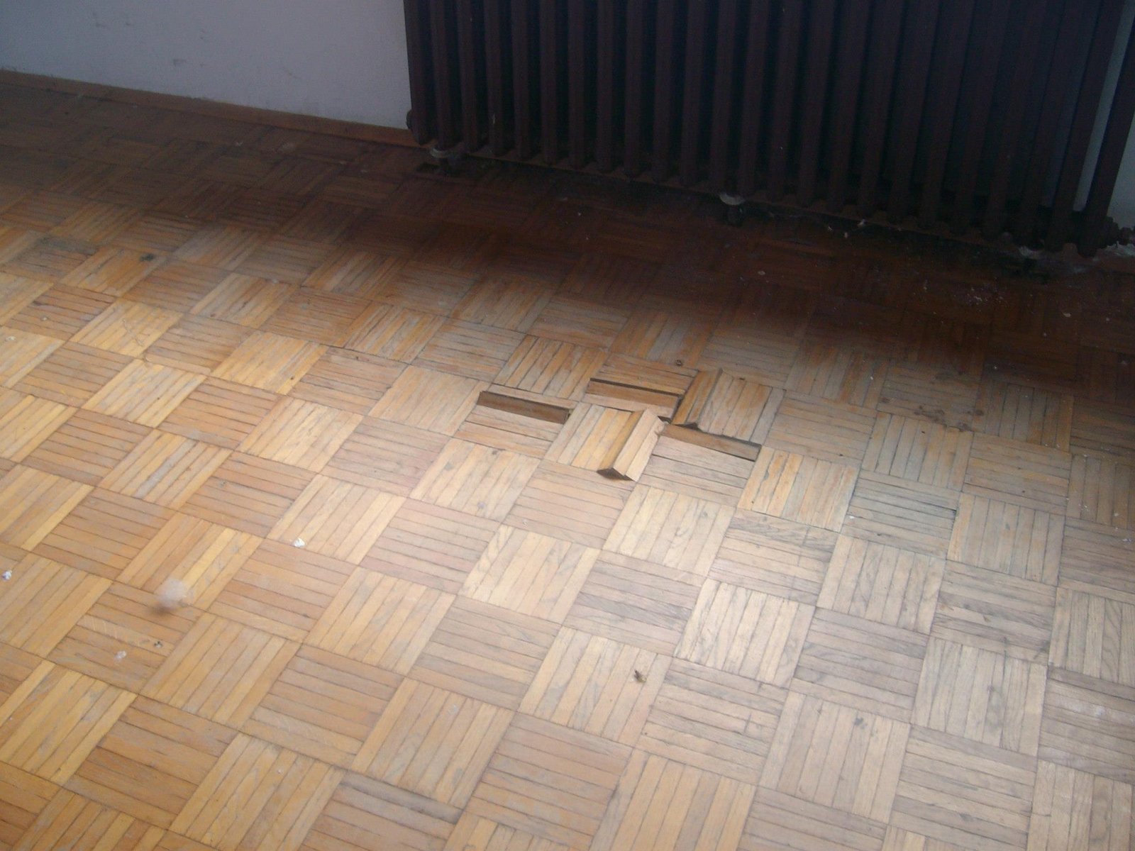 462853746_8778078535547098_5177172481435861856_n