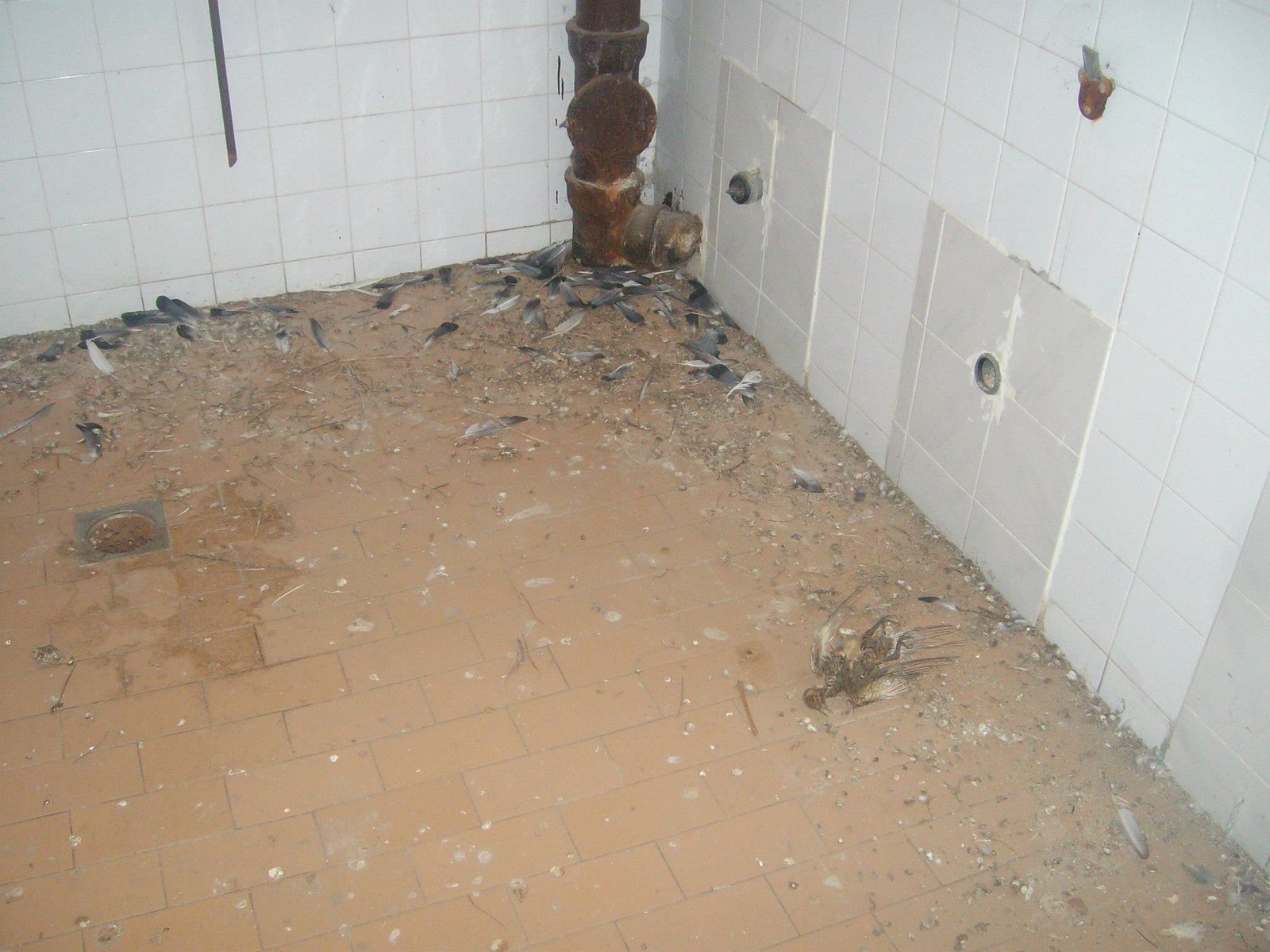 462879721_8778077645547187_3325548259157068845_n